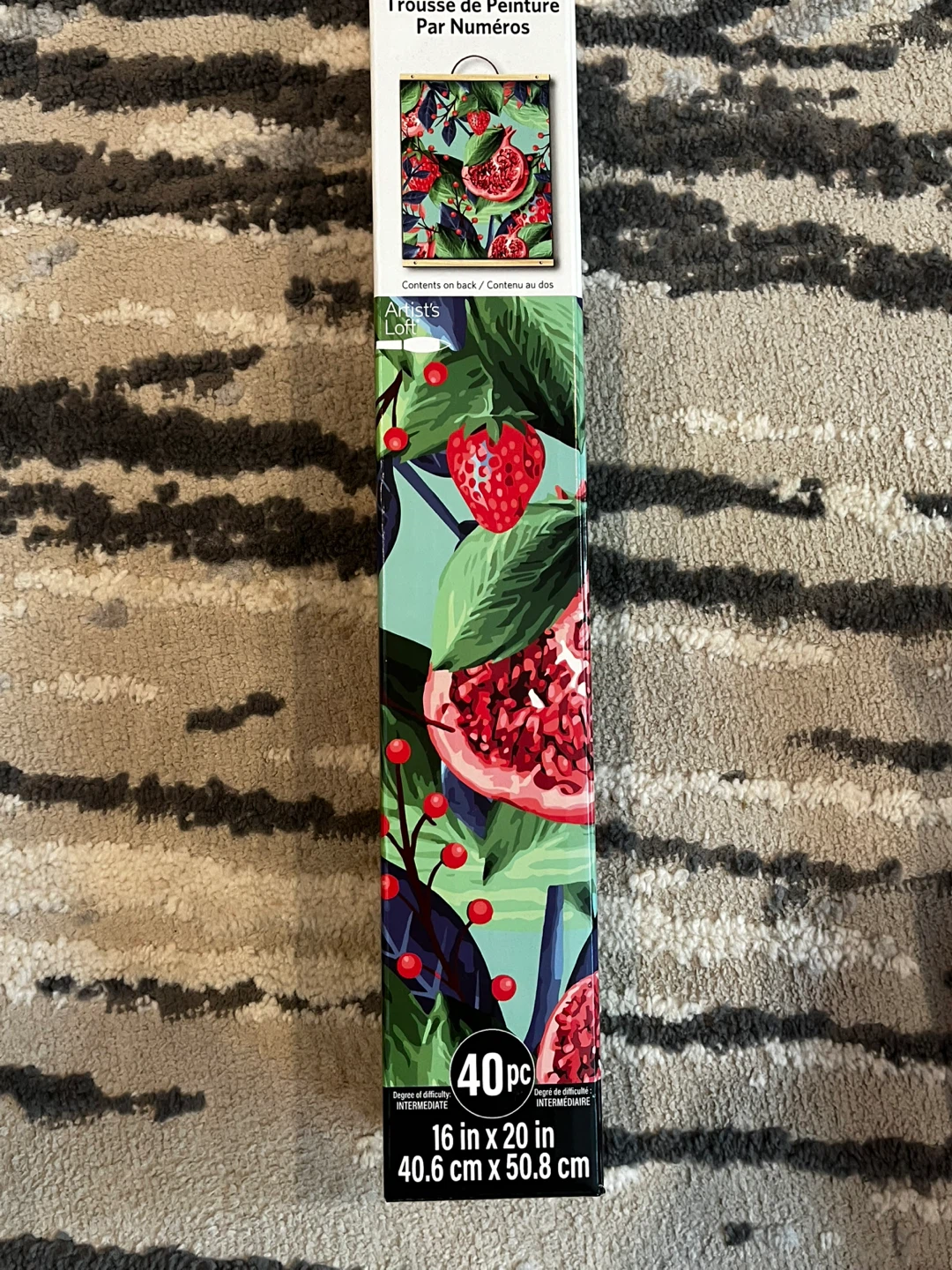 Artist's Loft Paint-by-Number Kit (16" x 20")