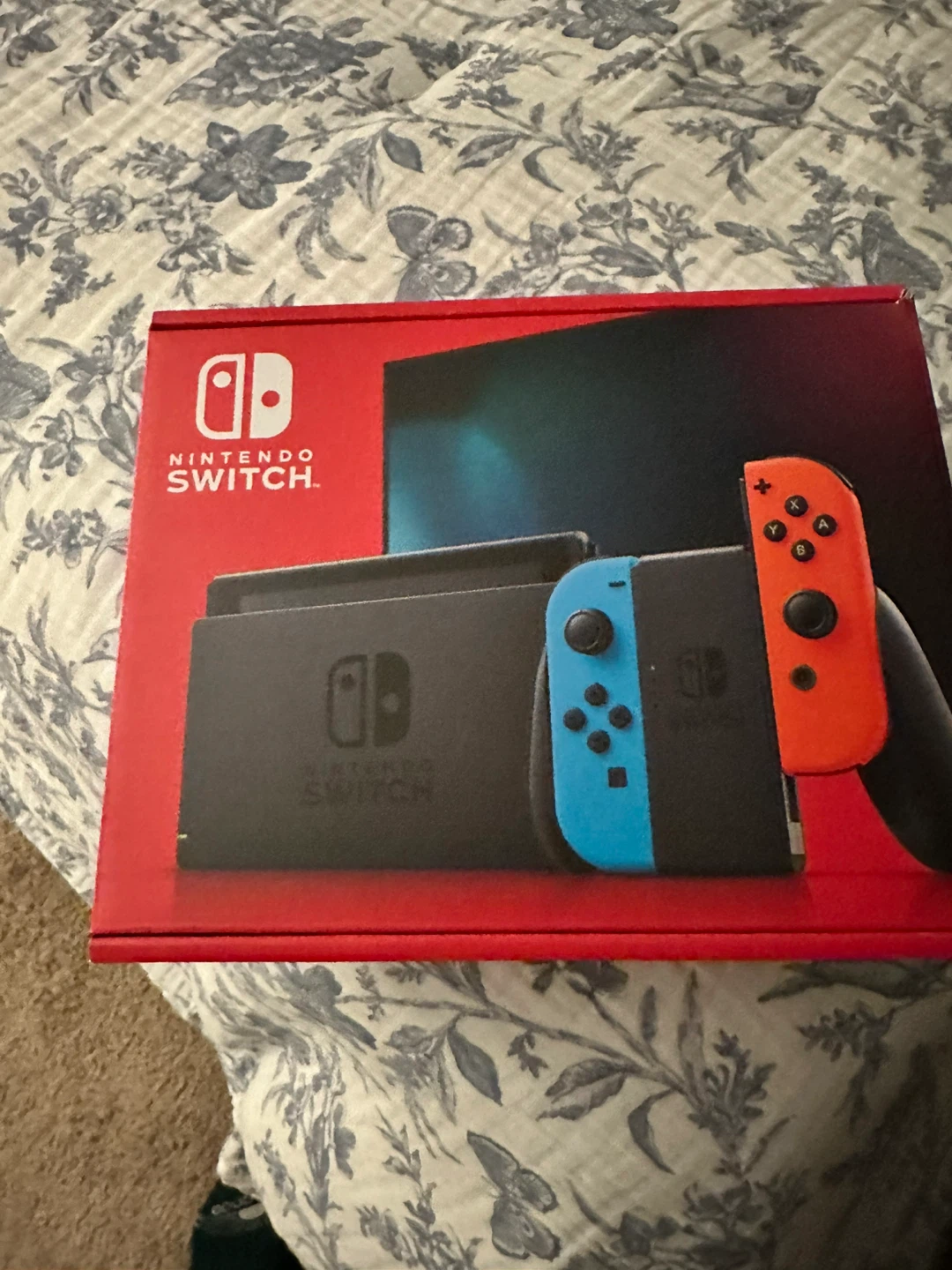 Nintendo Switch Console