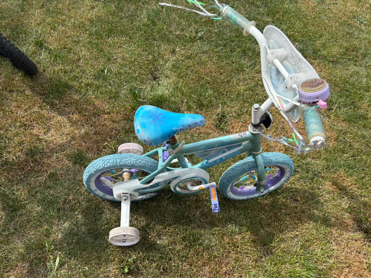 12” Kids Frozen Bike