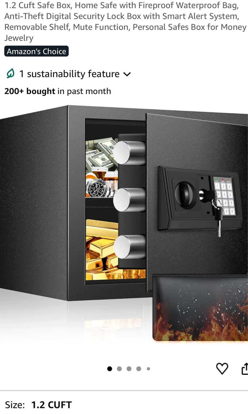 Small House Safe for Money & Valuables S12