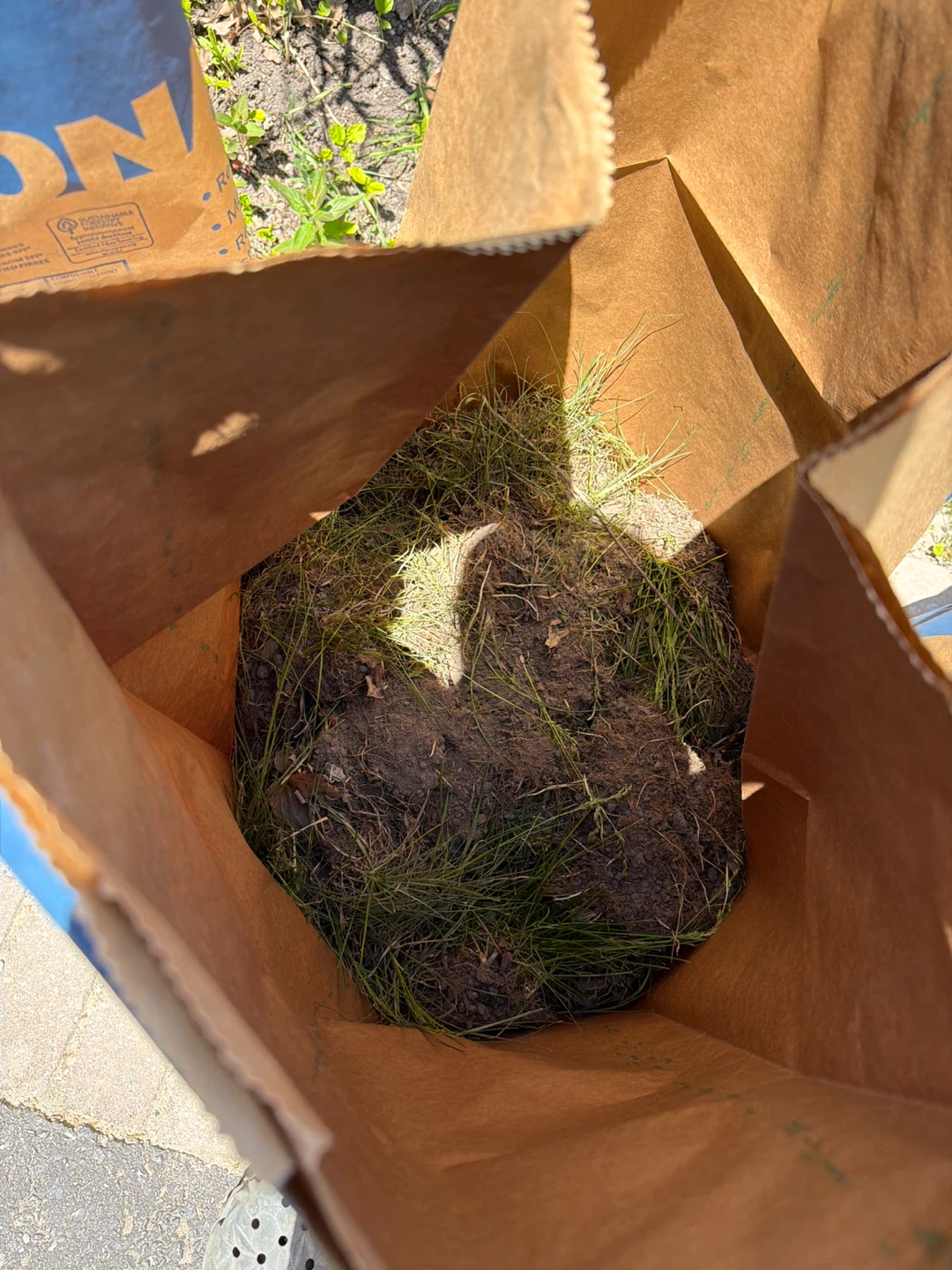 Free landfill - Grass and little dirt attached to roots - photo 3