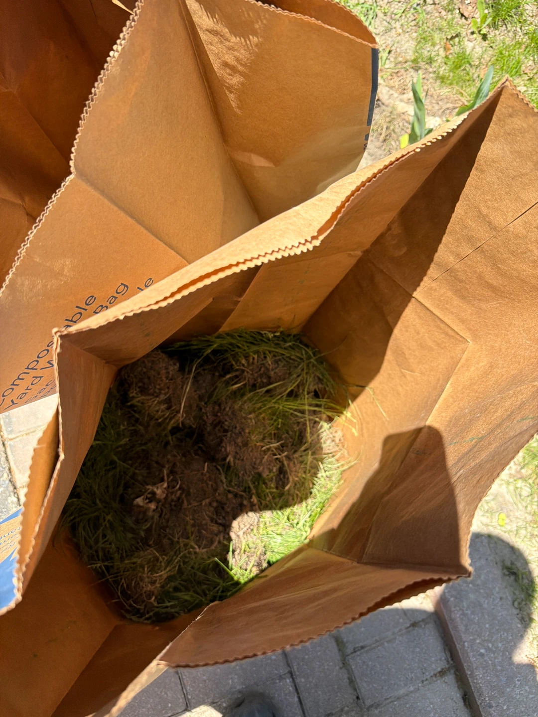 Free landfill - Grass and little dirt attached to roots - photo 2