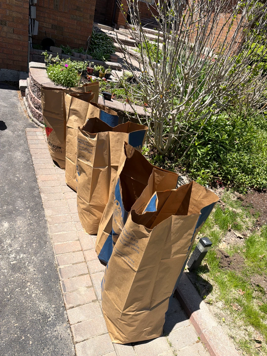 Free landfill - Grass and little dirt attached to roots