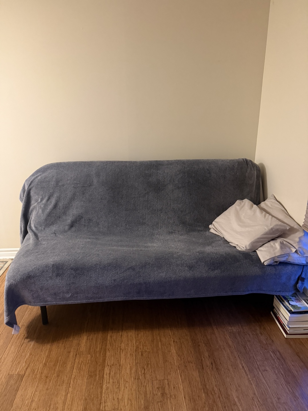 IKEA NYHAMN Sofabed