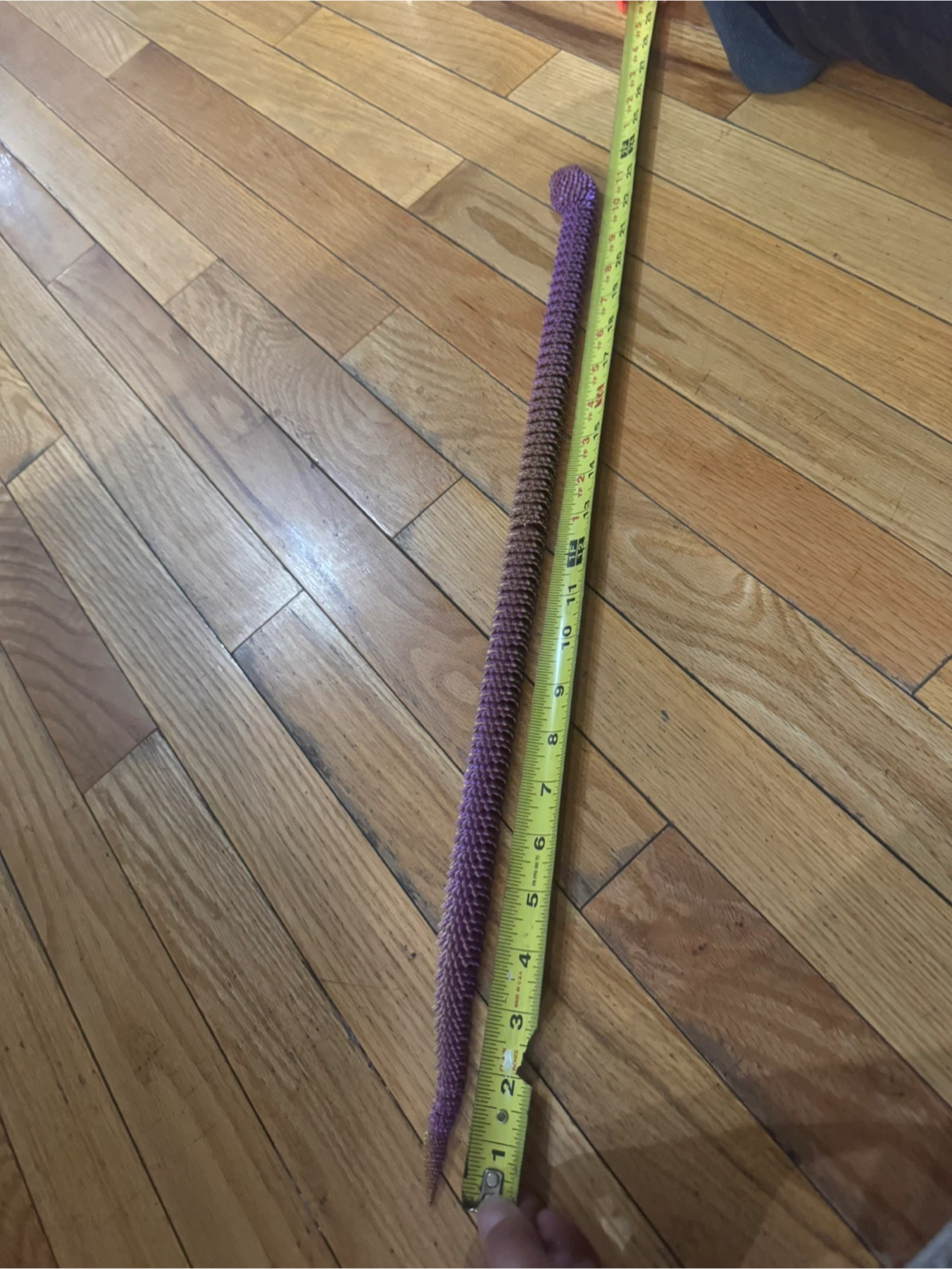 Articulated Snake Toy Sculpture 3D printed - photo 5