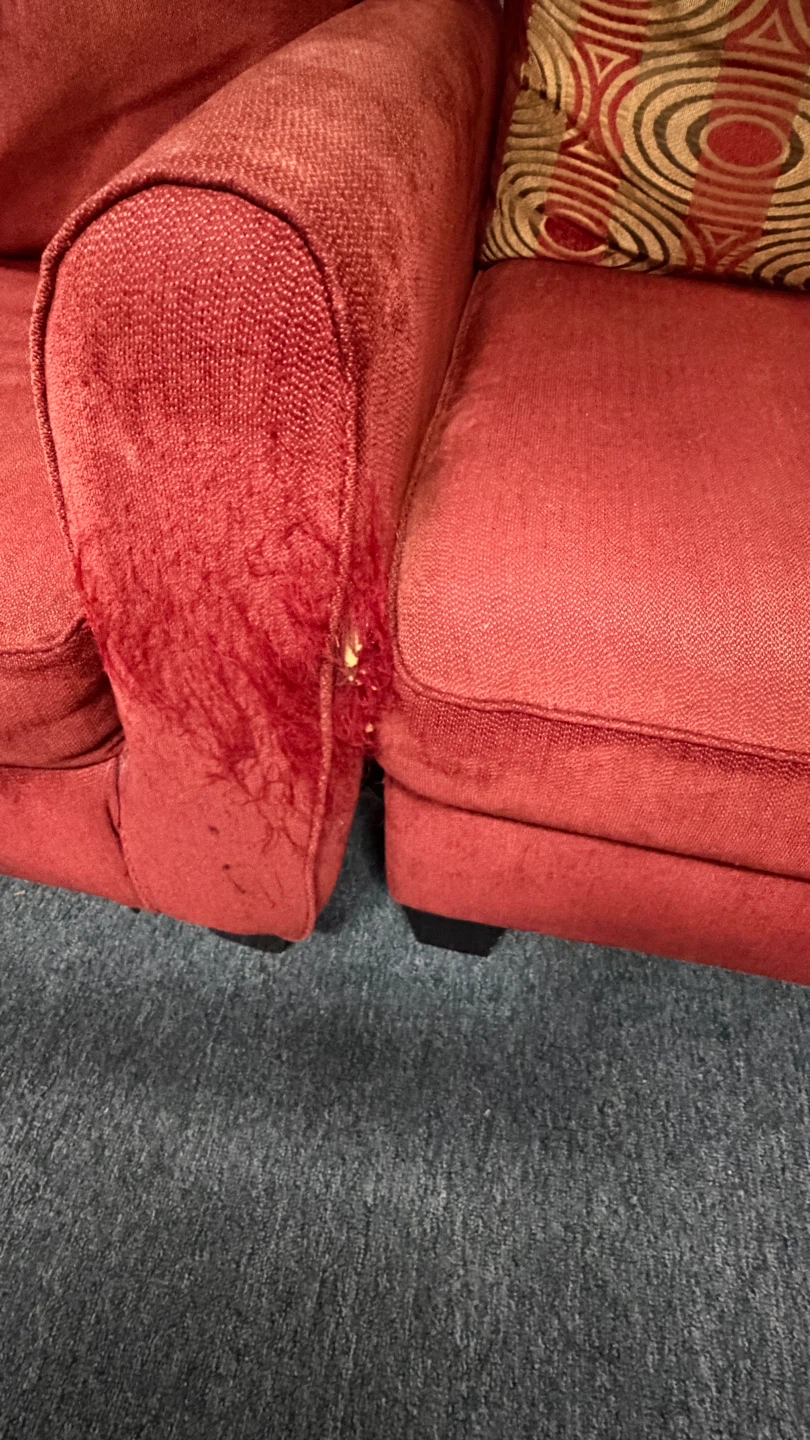 Red Couch Section - photo 4
