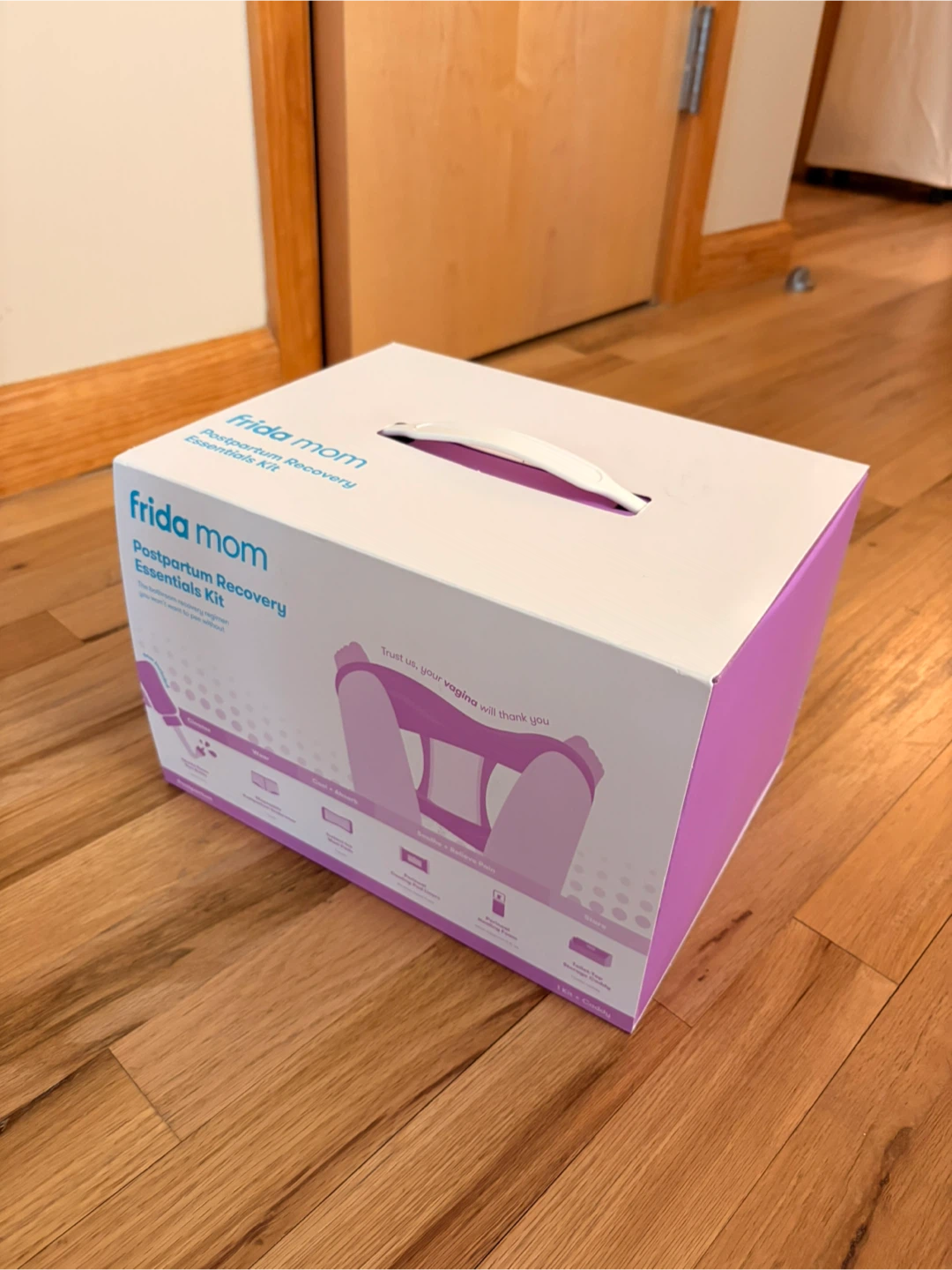Frida Mom Postpartum Recovery Kit