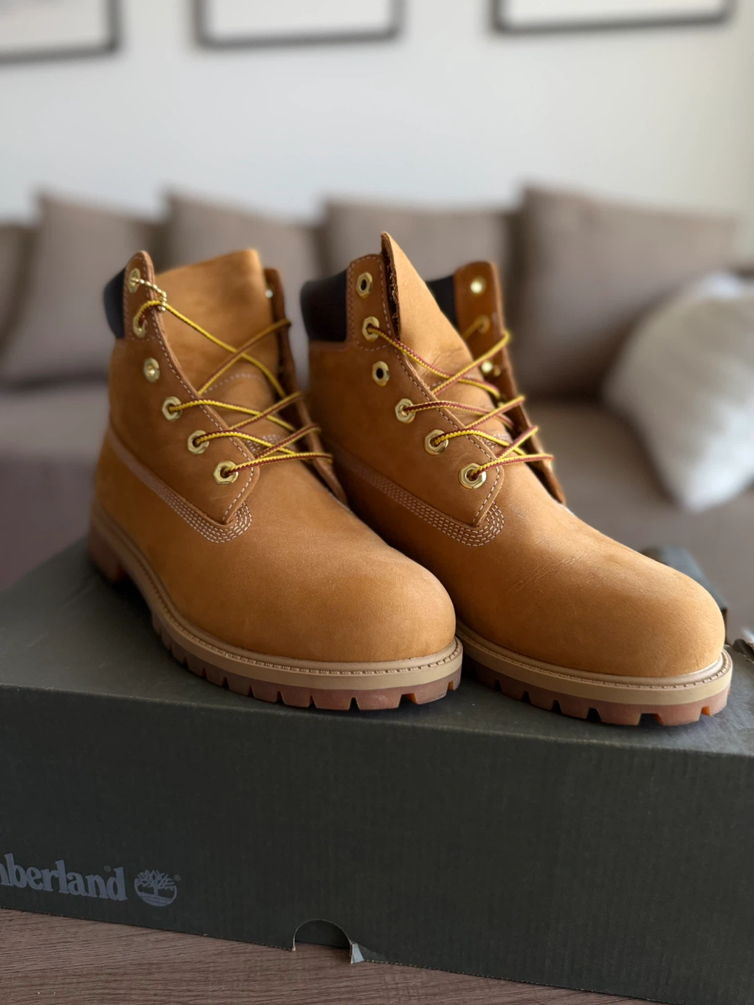 Timberland Premium 6" Waterproof Junior's Size 7