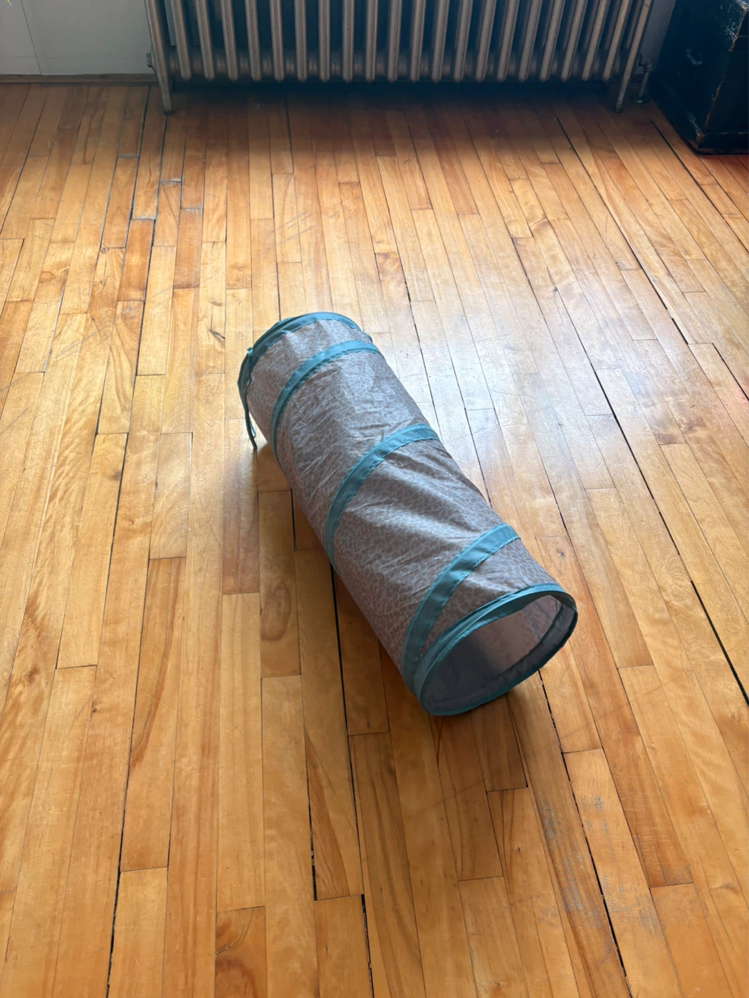 Light up Cat Tunnel with Feather Toy