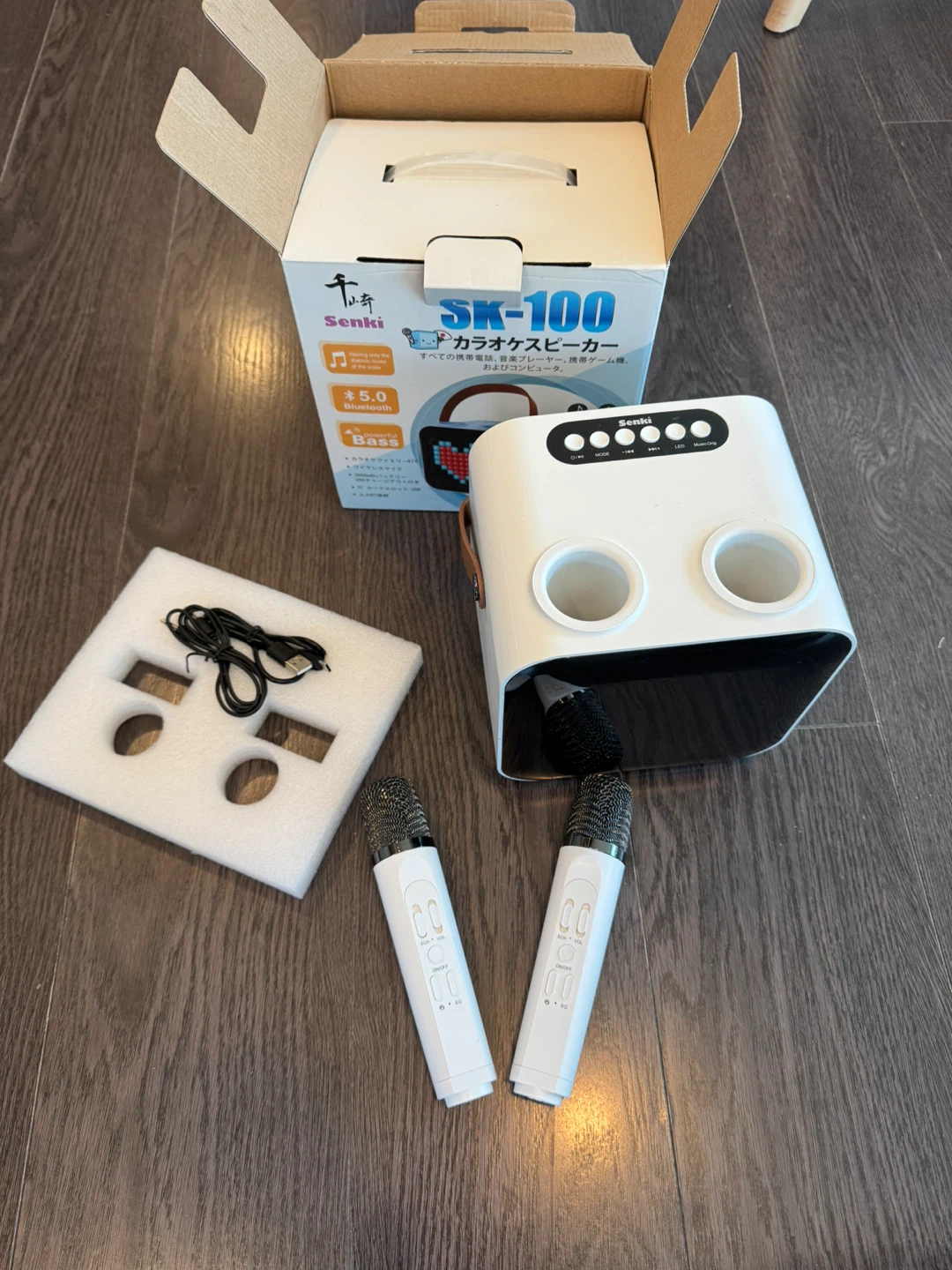 Senki SK-100 Karaoke Speaker with 2 Microphones