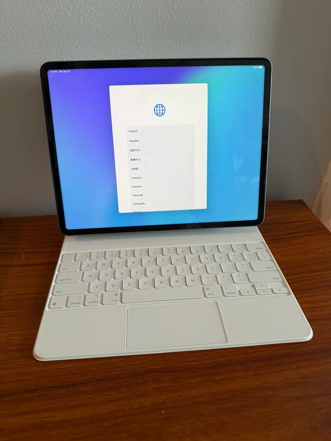 Apple iPad Pro with Magic Keyboard - 6th Gen |