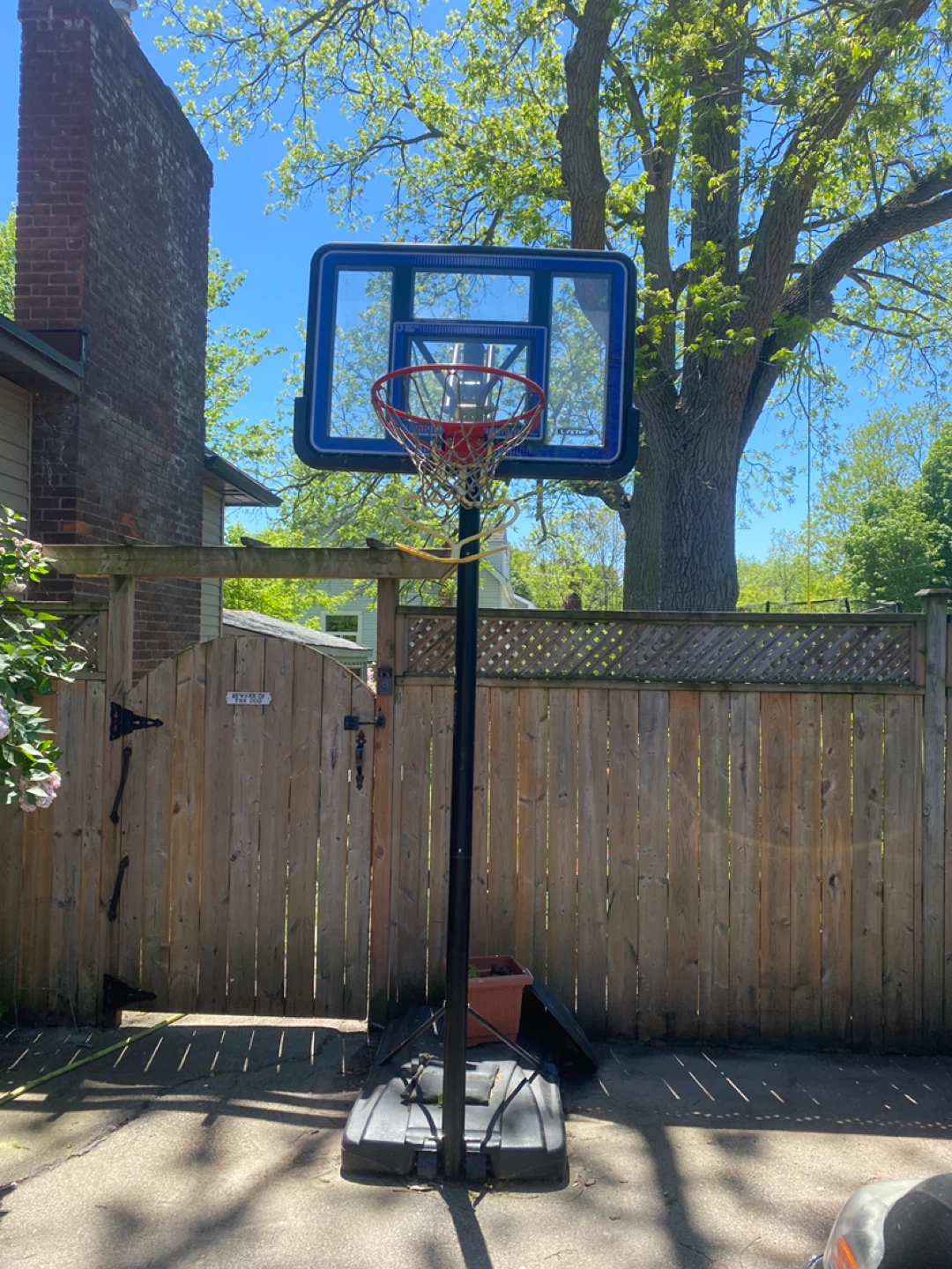 Lifetime Basketball Net - photo 3