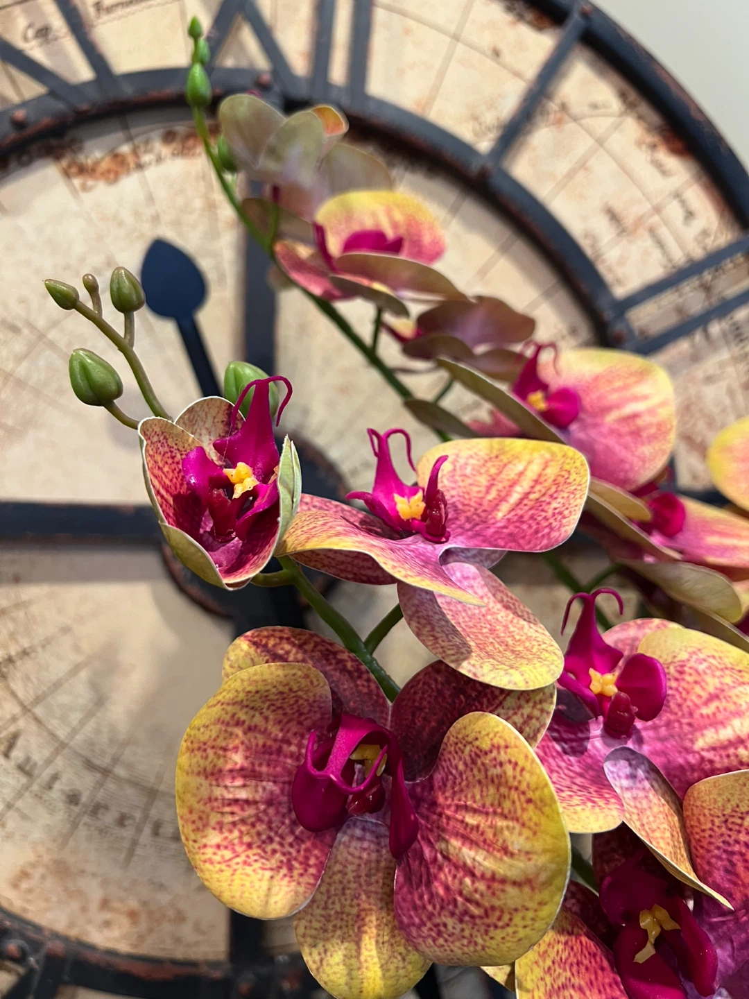 5-Piece Artificial Phalaenopsis Orchid Stems - photo 3