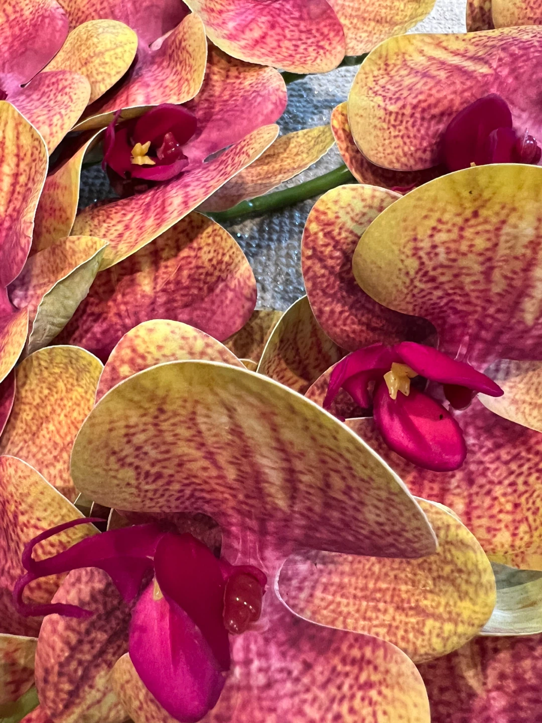 5-Piece Artificial Phalaenopsis Orchid Stems - photo 4