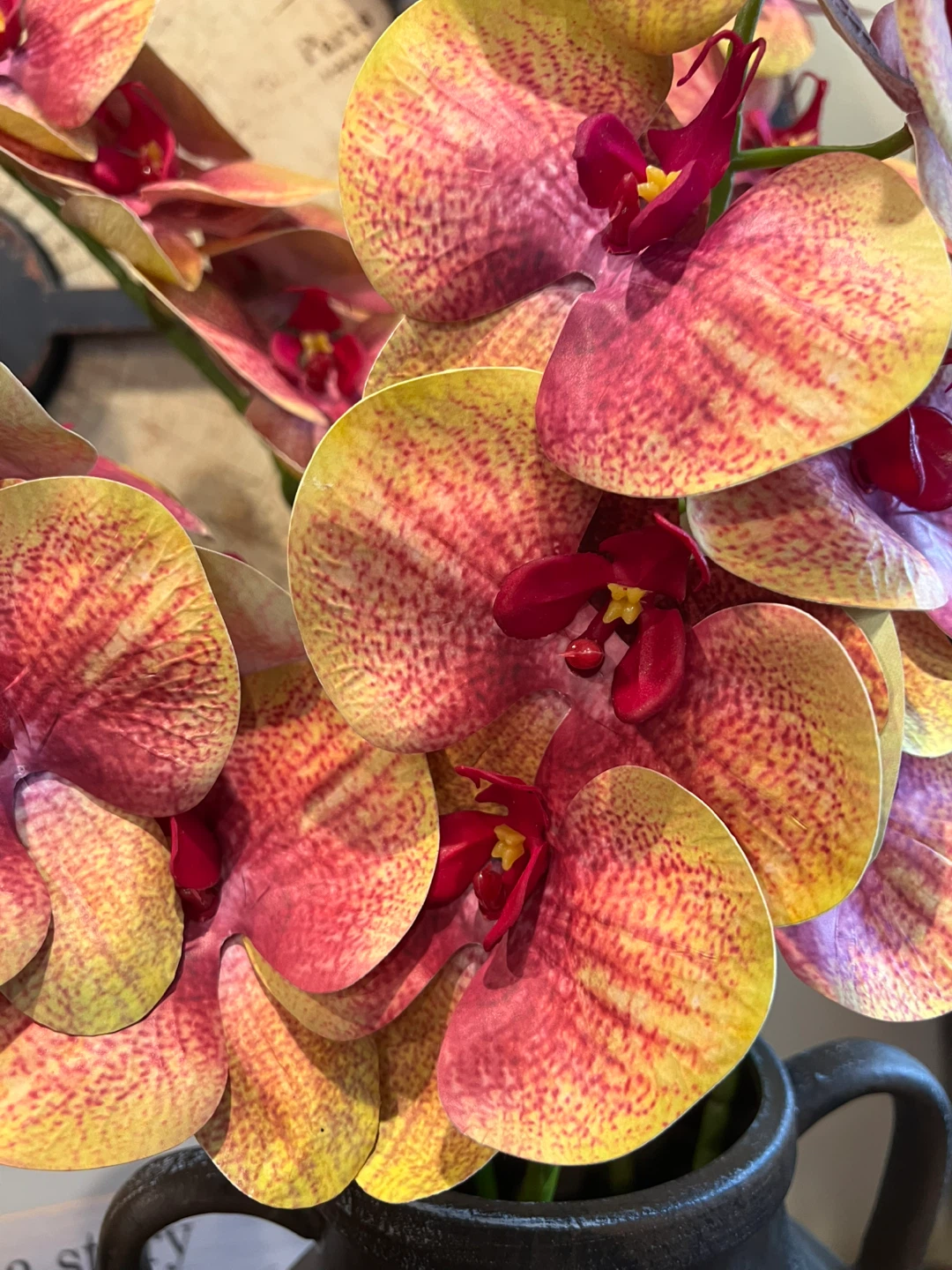 5-Piece Artificial Phalaenopsis Orchid Stems - photo 2
