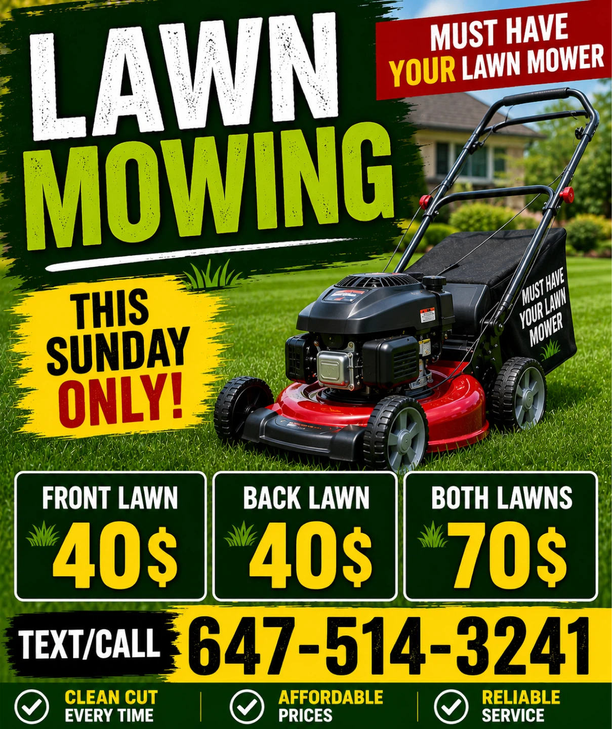 Lawn Mowing Services - This Sunday Only!