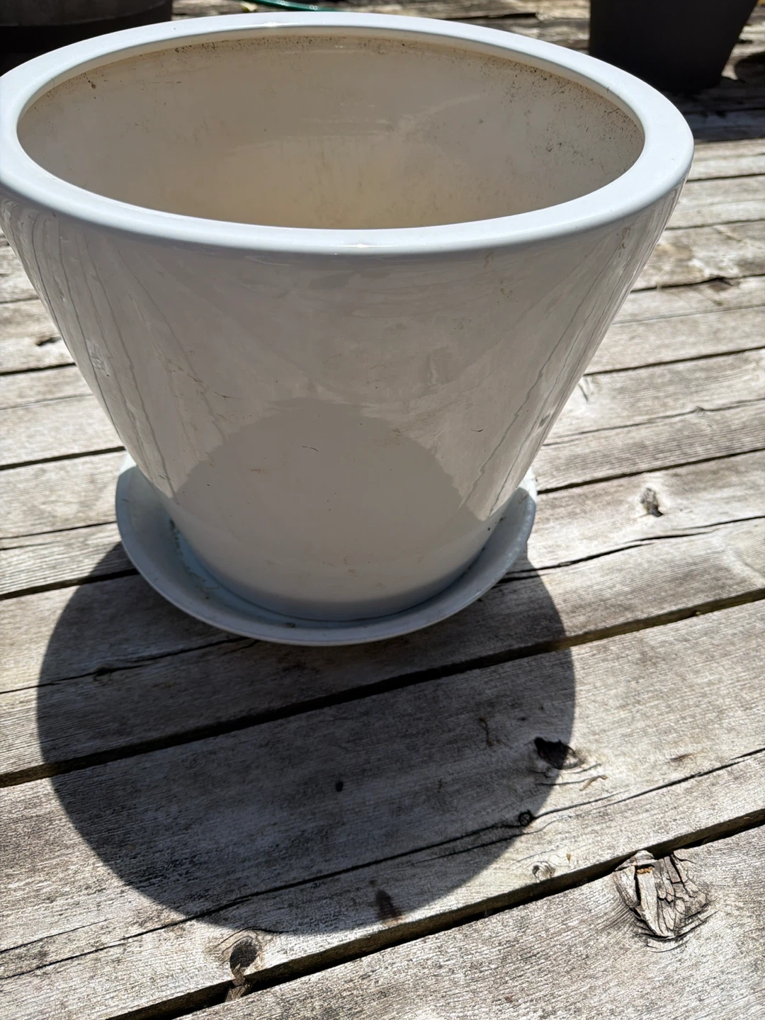 TROSCO White Ceramic Planter Pot with Saucer