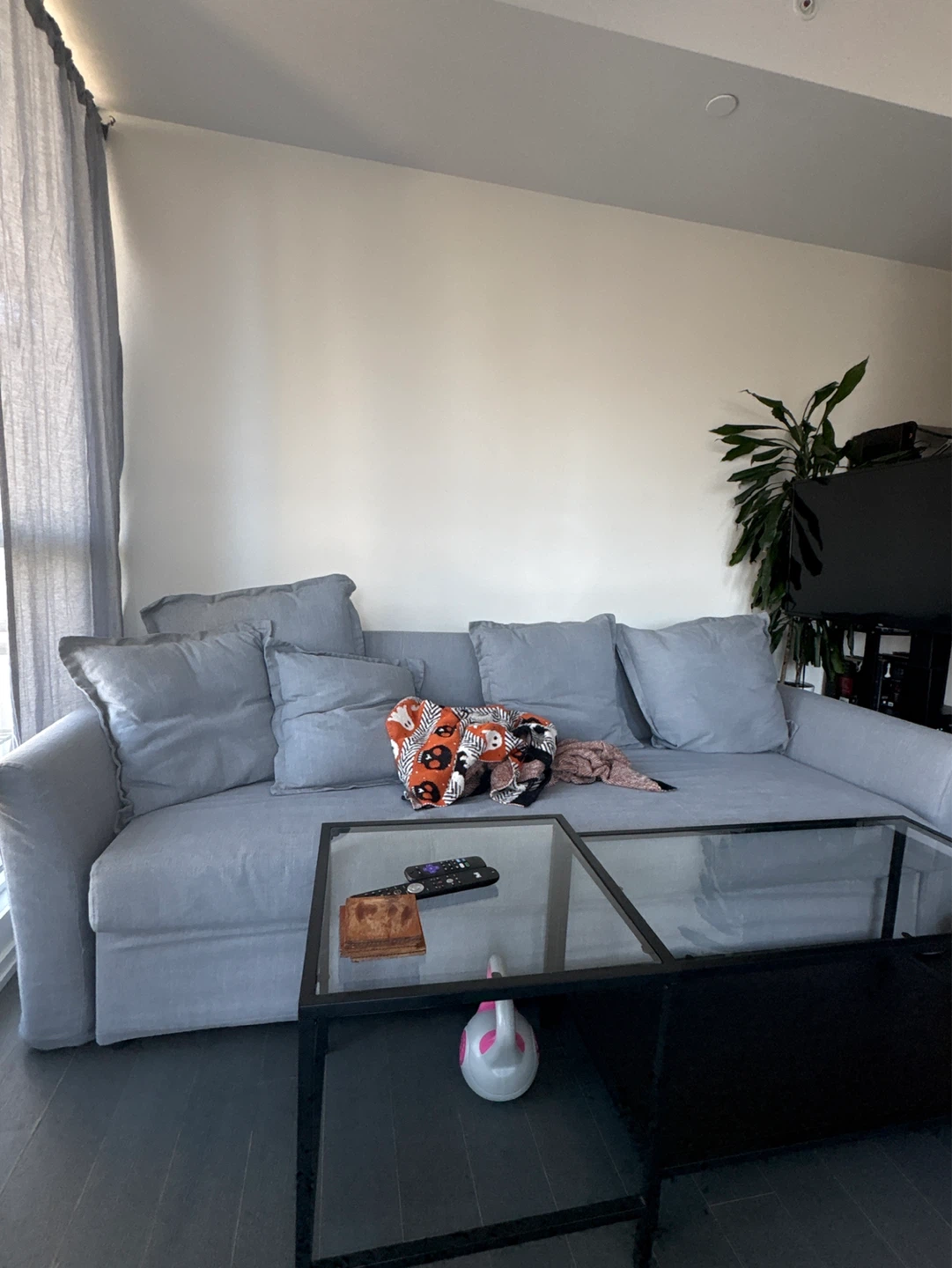 Light Grey Sofa