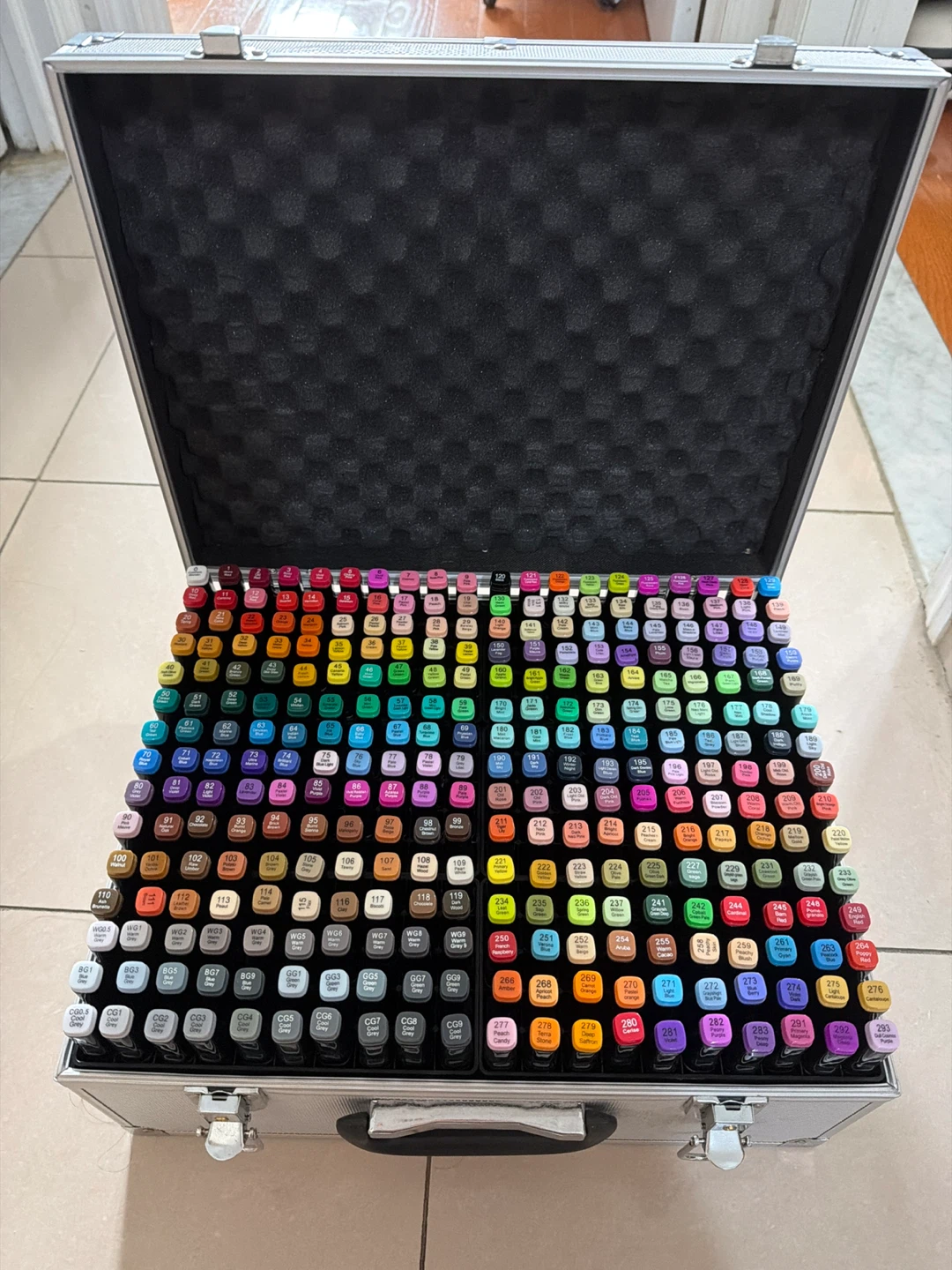 Art Markers Set with Case