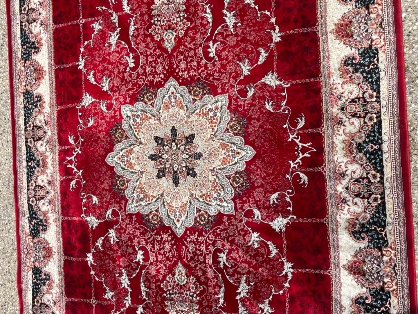 Beautiful large & heavy Area Rug - photo 4
