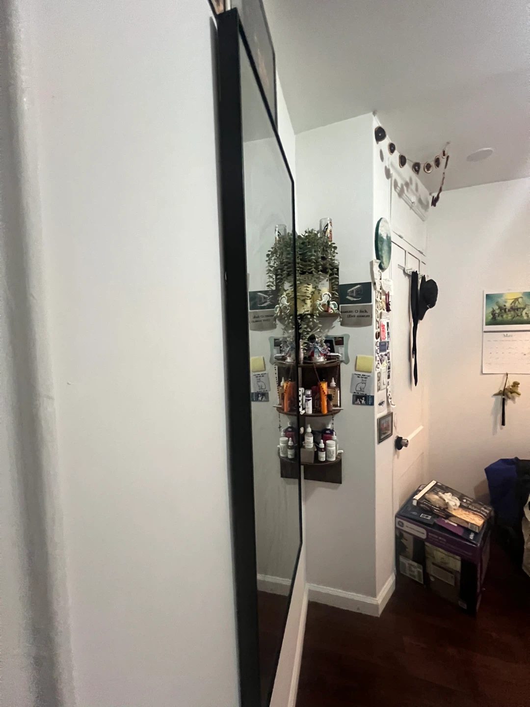 Large Black Framed Full Length Mirror