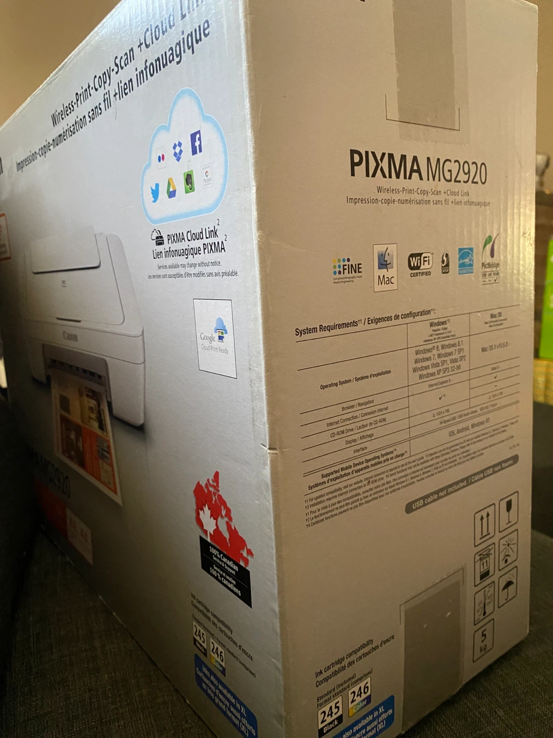 Canon PIXMA MG2920 Wireless Printer - photo 2