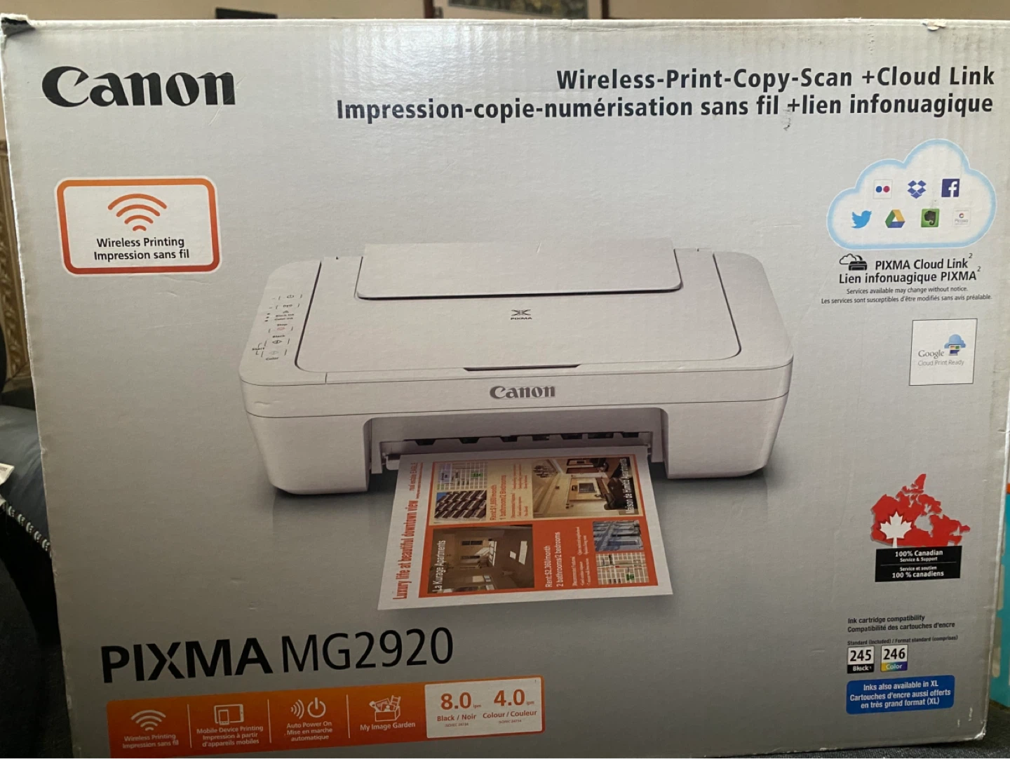 Canon PIXMA MG2920 Wireless Printer