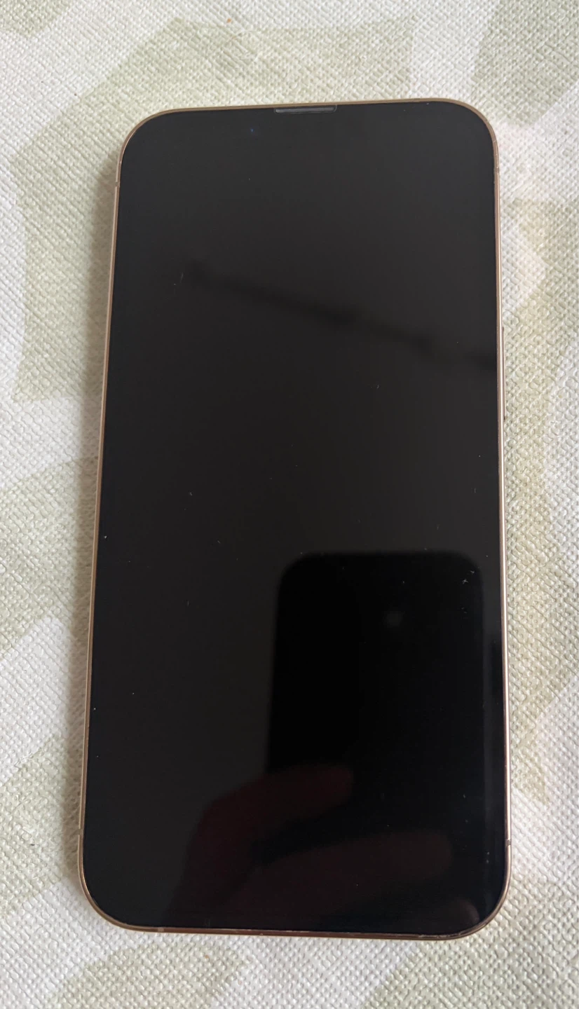 IPhone 13 Pro 256GB Gold in excellent condition - photo 2