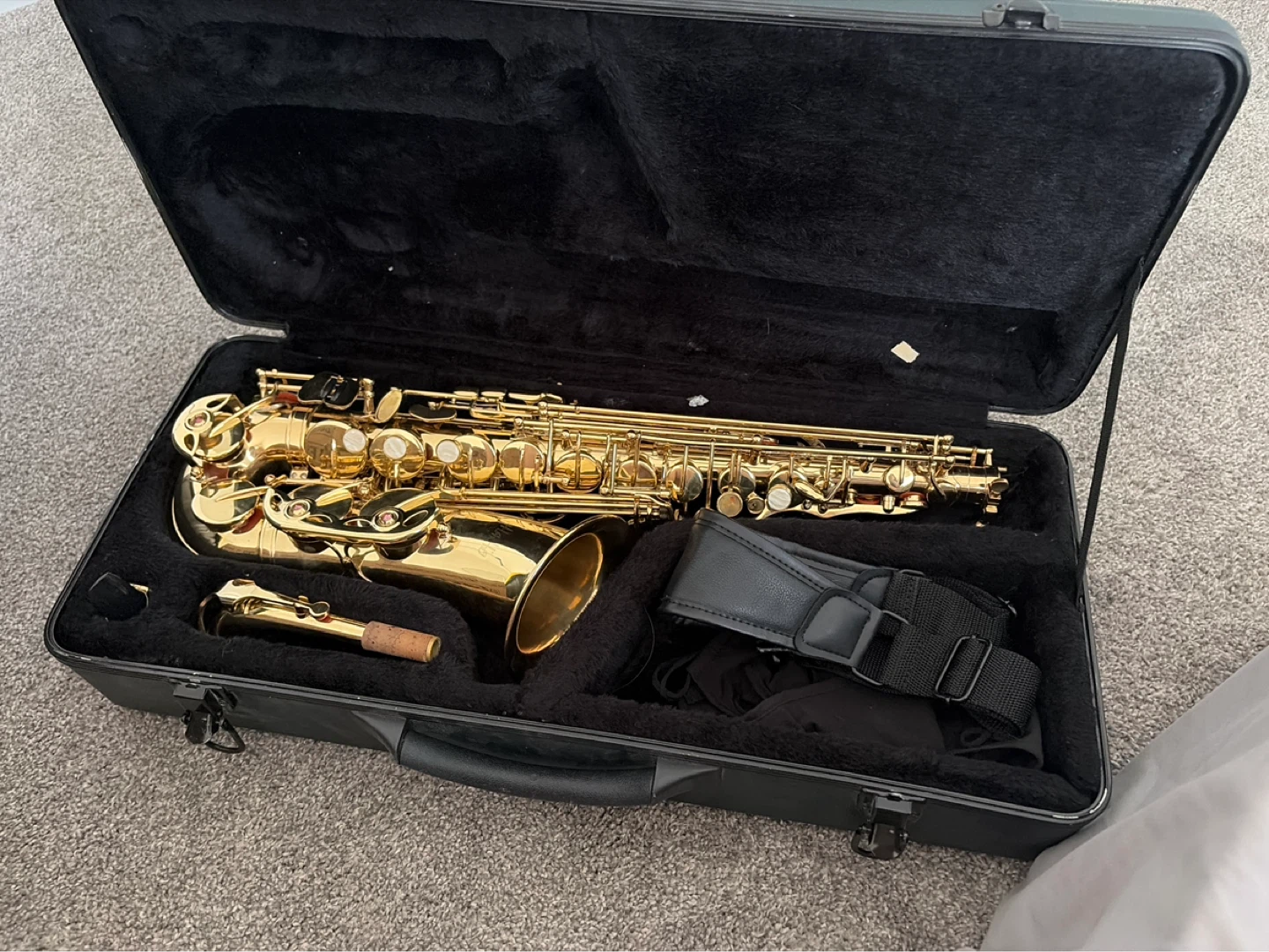 Alto Saxophone in Hard Case - photo 2