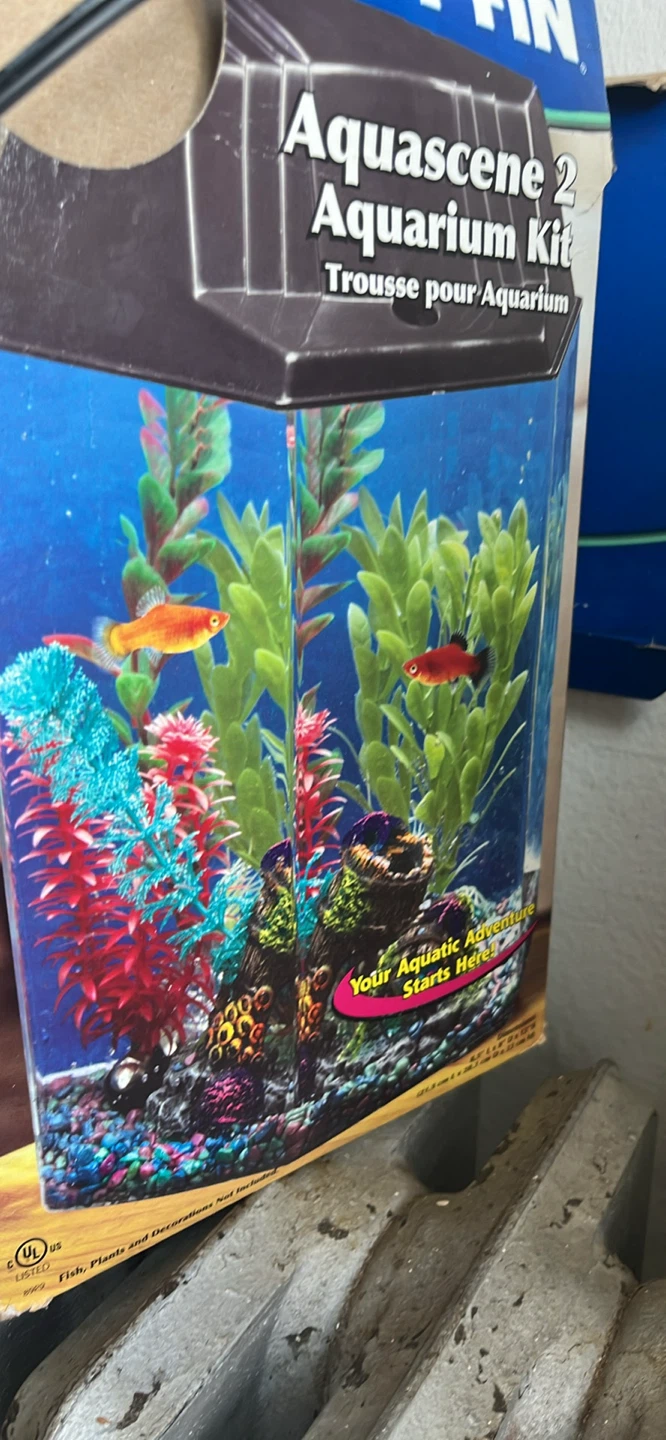 Fish Tank