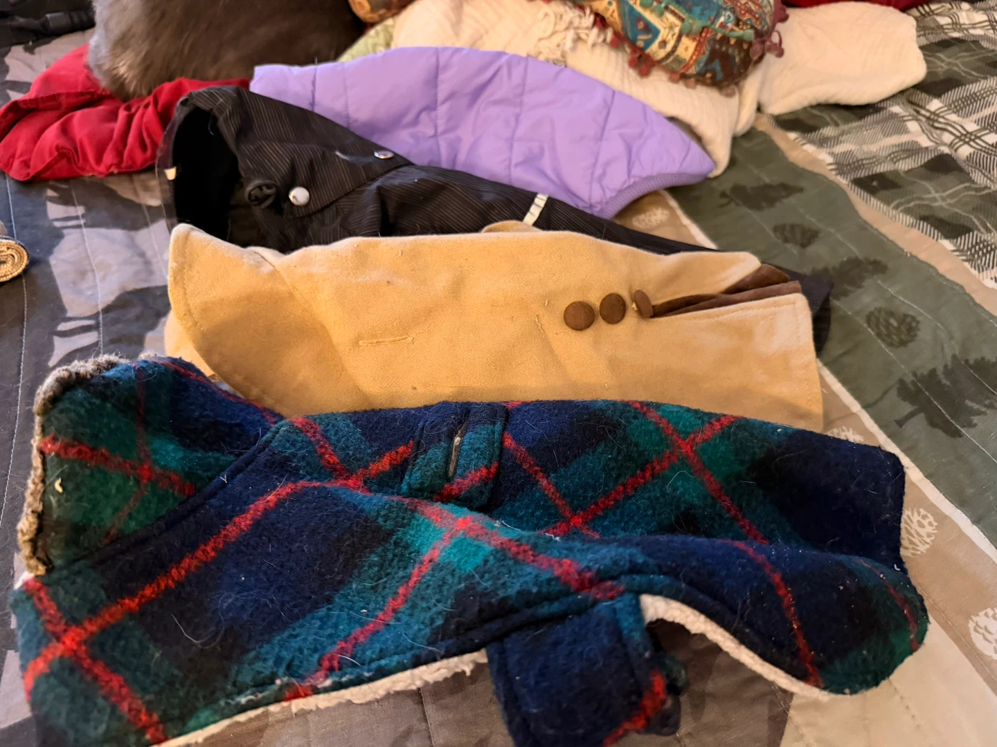 Bundle of Dog Coats
