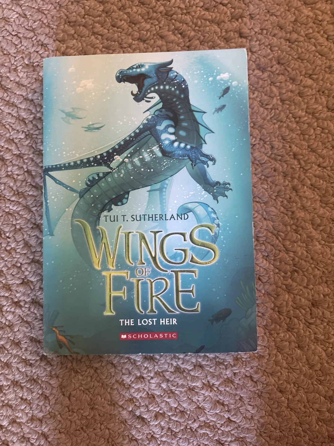 Wings of Fire Book Series by Tui T. Sutherland - photo 4