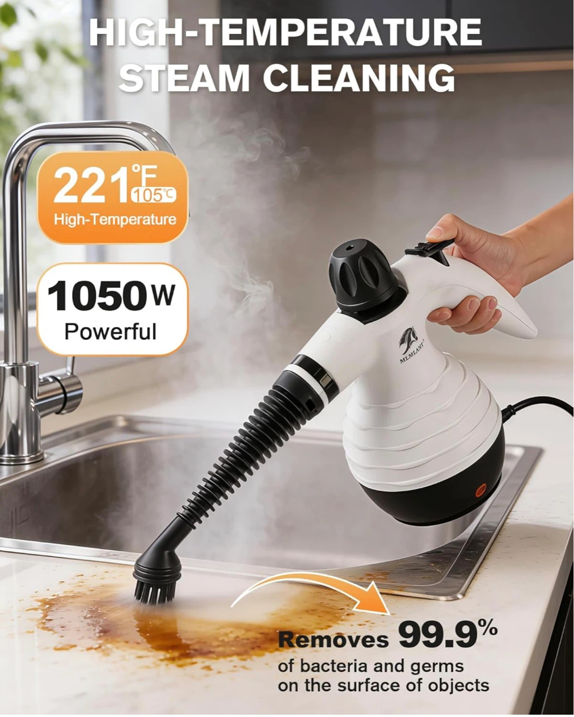 Brand New Portable Steam Cleaner