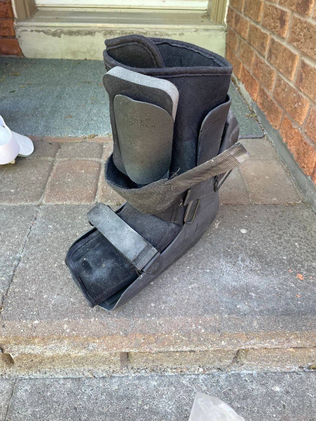NEXTEP Contour Walker Shortiel