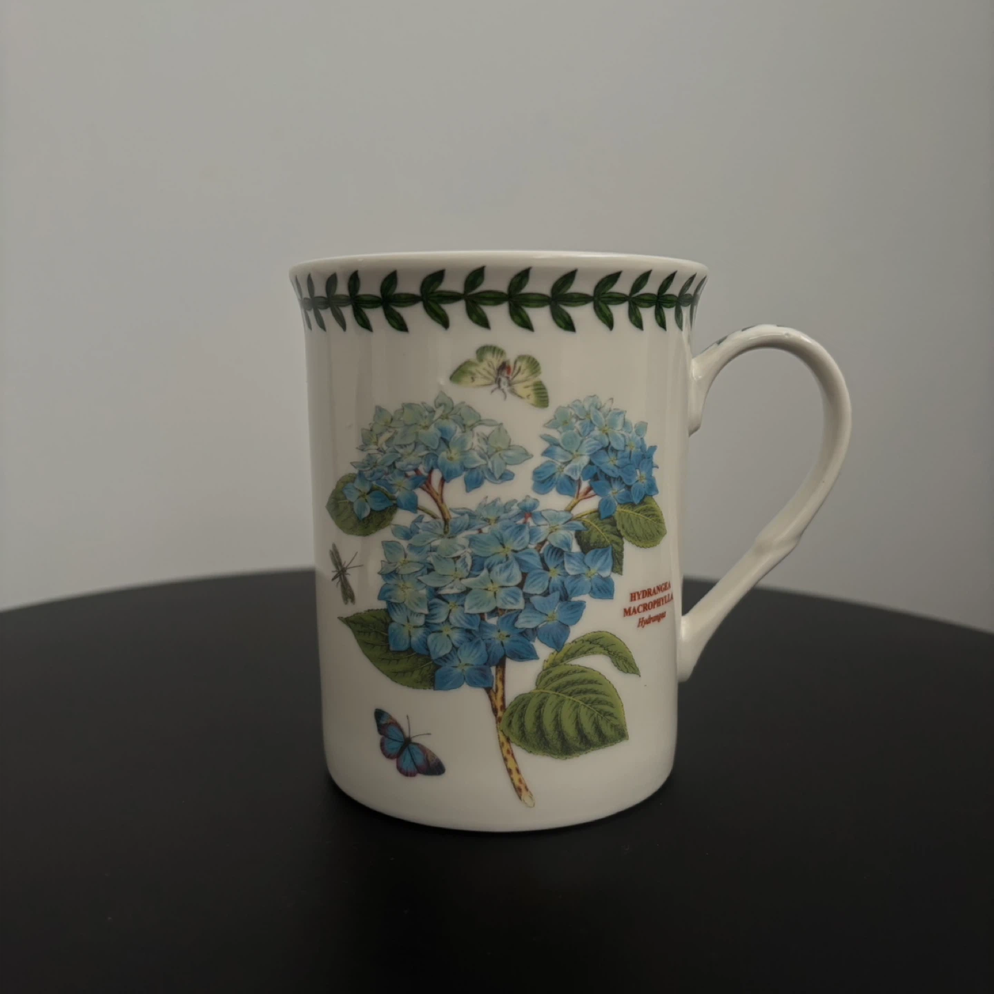 Portmeirion Botanic Garden - Hydrangea Mug & Coaster Set - photo 3