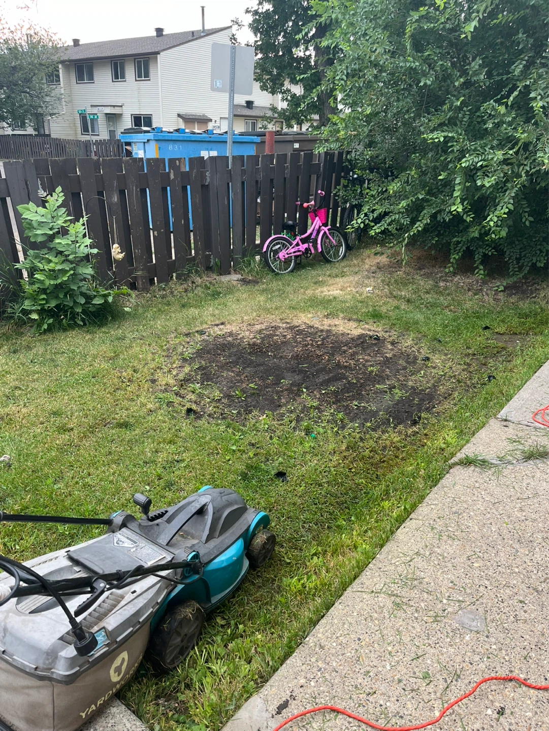 Lawn mowing available - photo 2