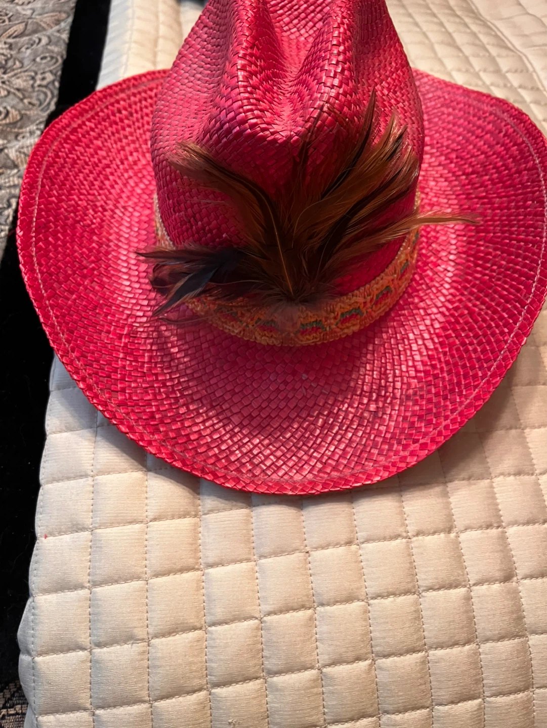 Red Straw Cowboy Hat with Feathers