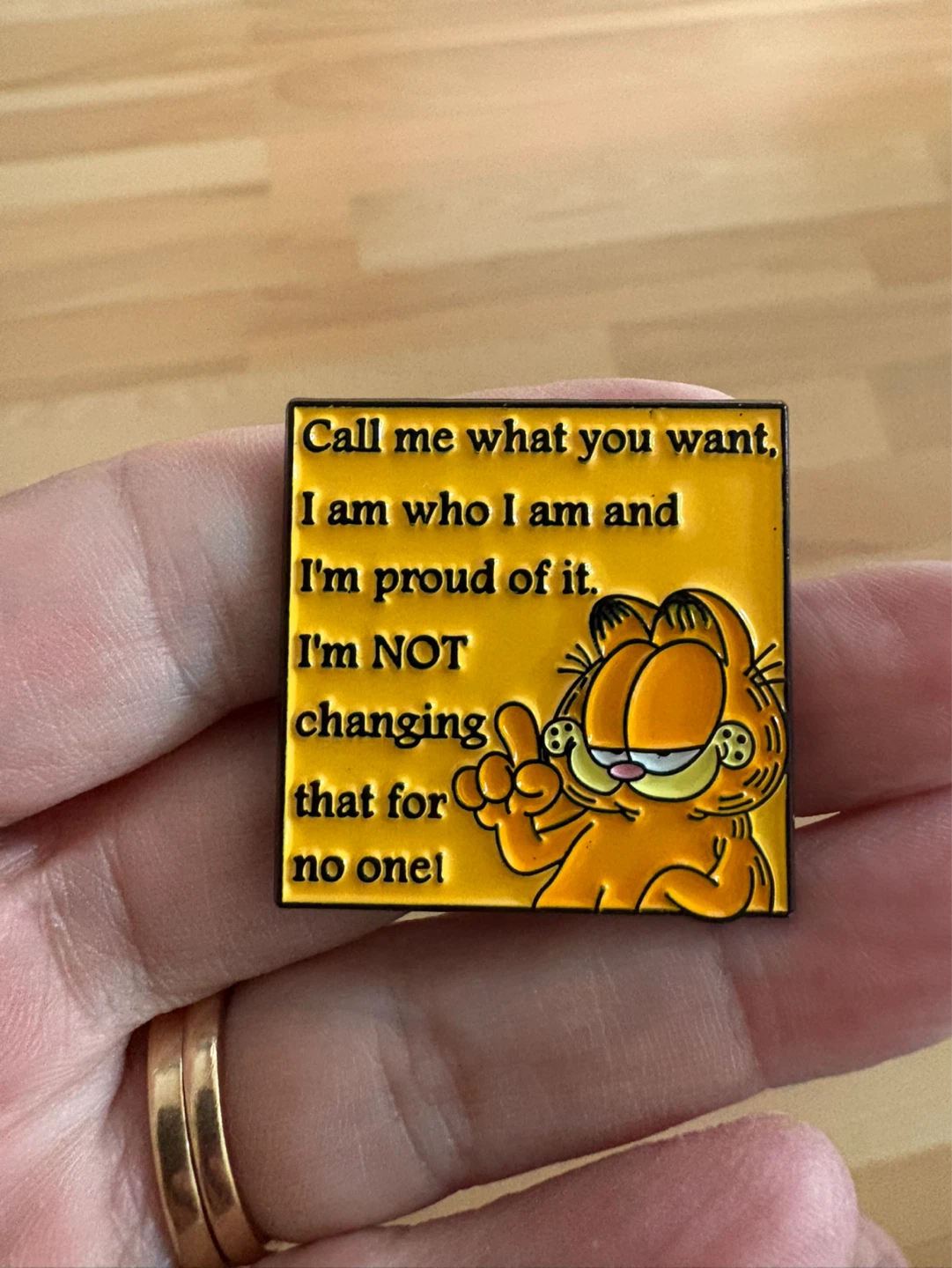Garfield Enamel Pin $5 firm