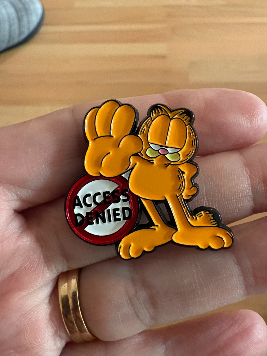 Garfield Access Denied Enamel Pin $5 firm