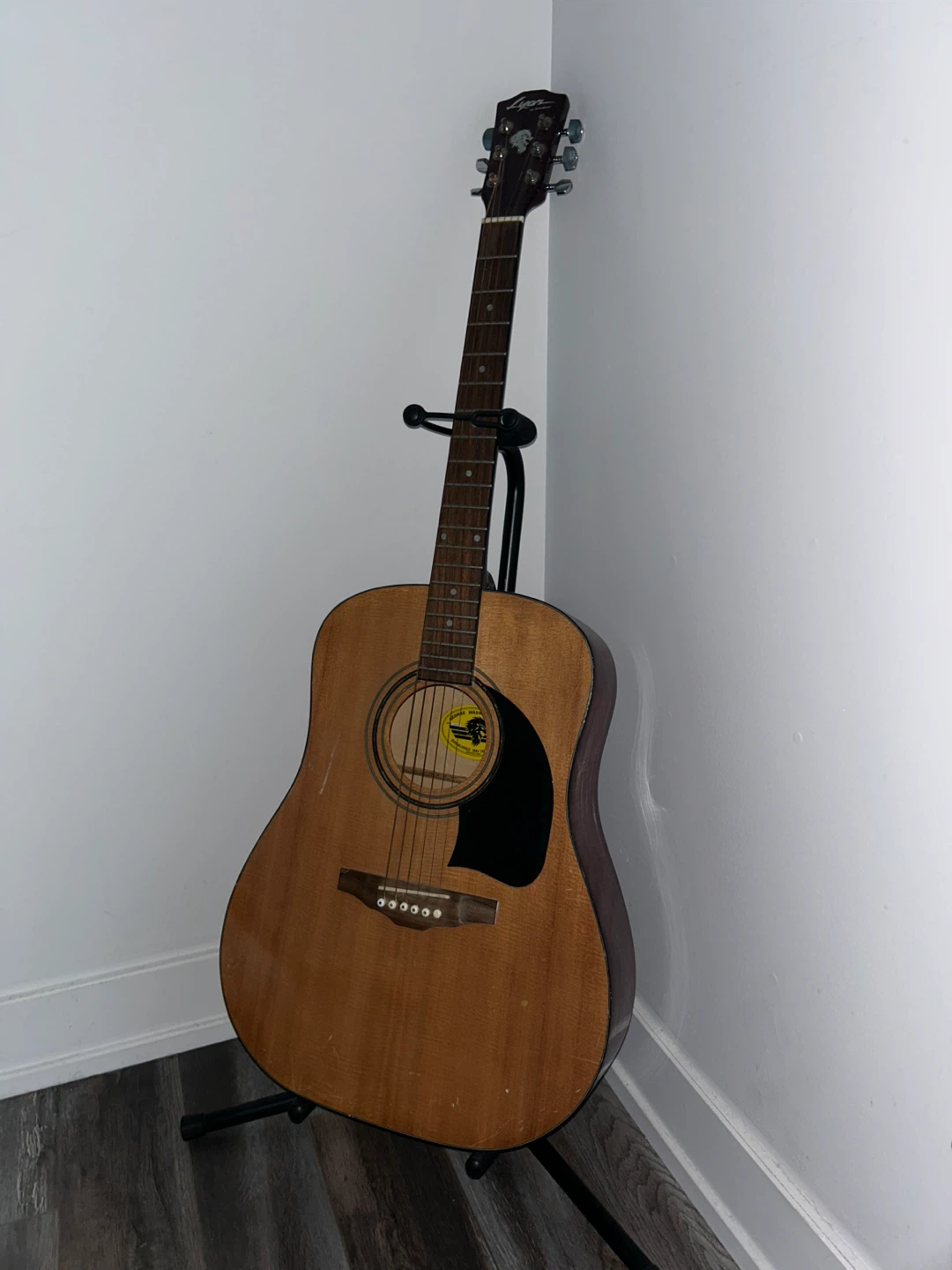 Lyon by Washburn Acoustic Guitar
