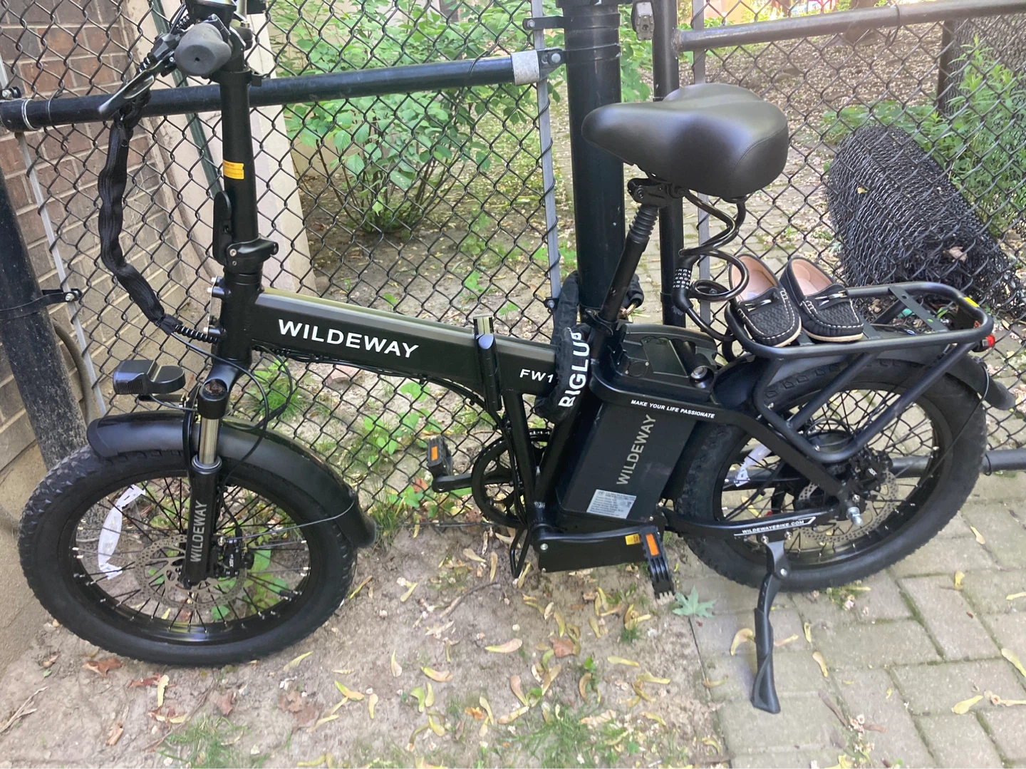 Wilde Way FW1 Folding Electric Bike