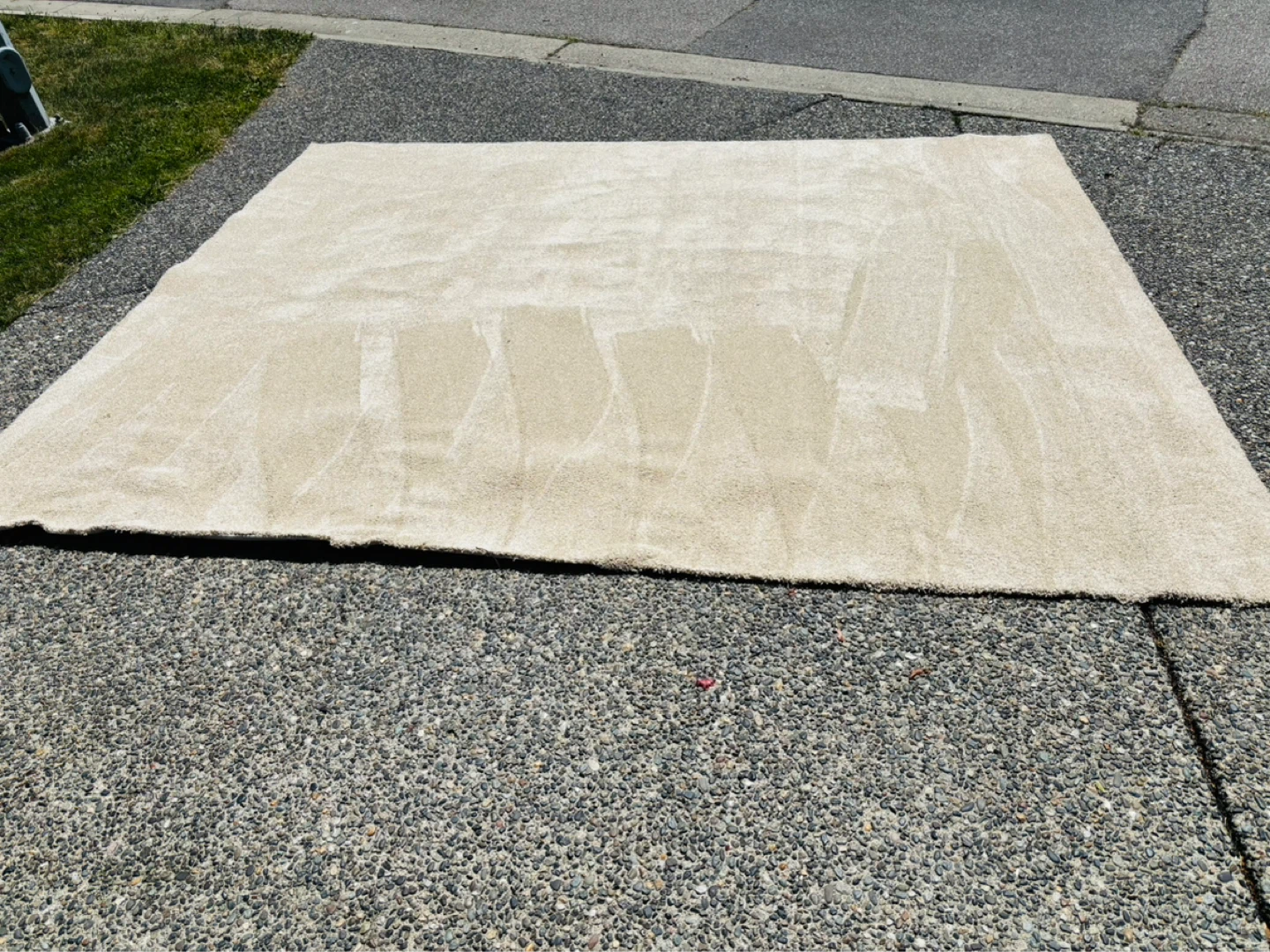 Beige Area Rug