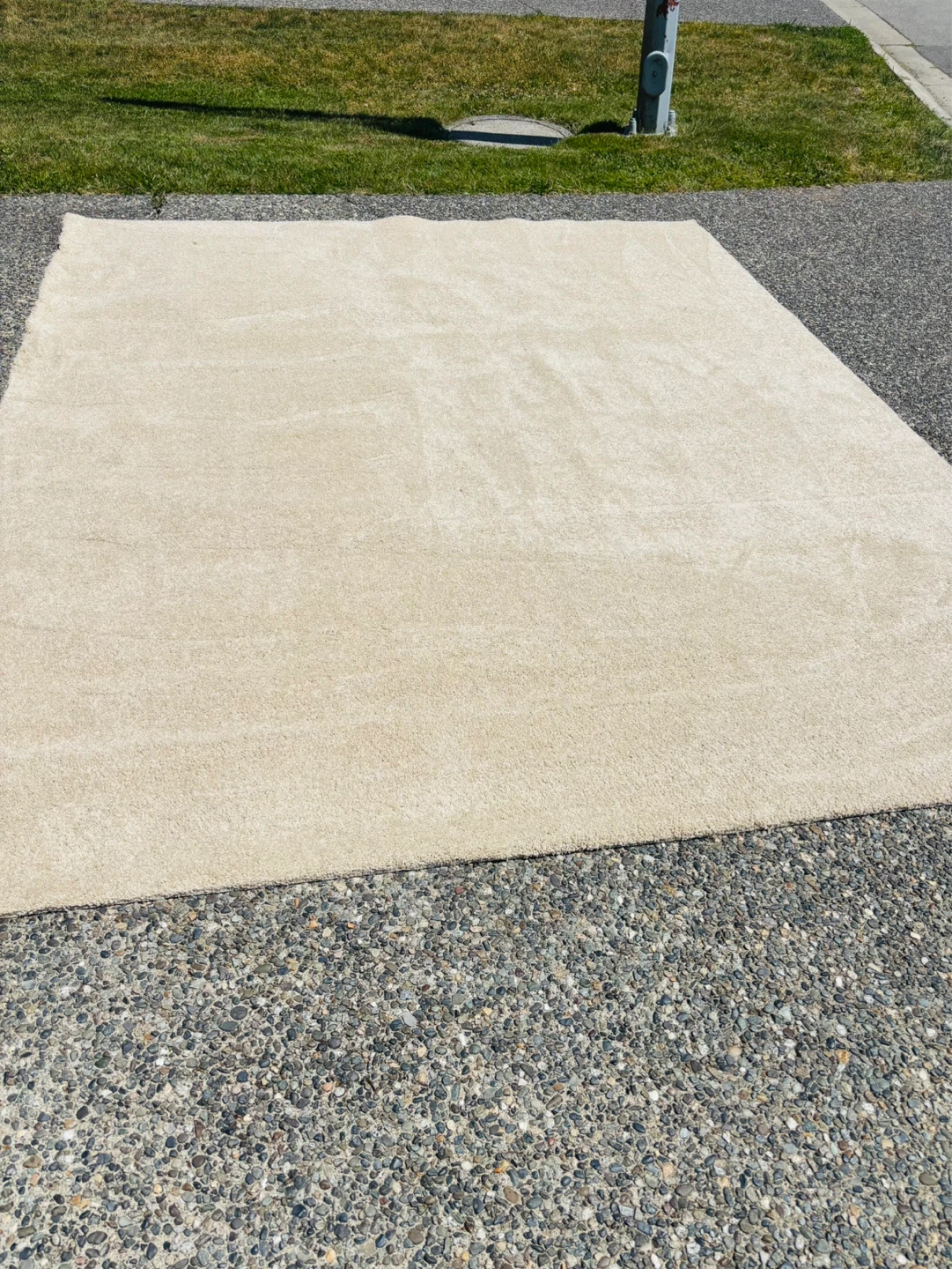 Beige Area Rug - photo 2
