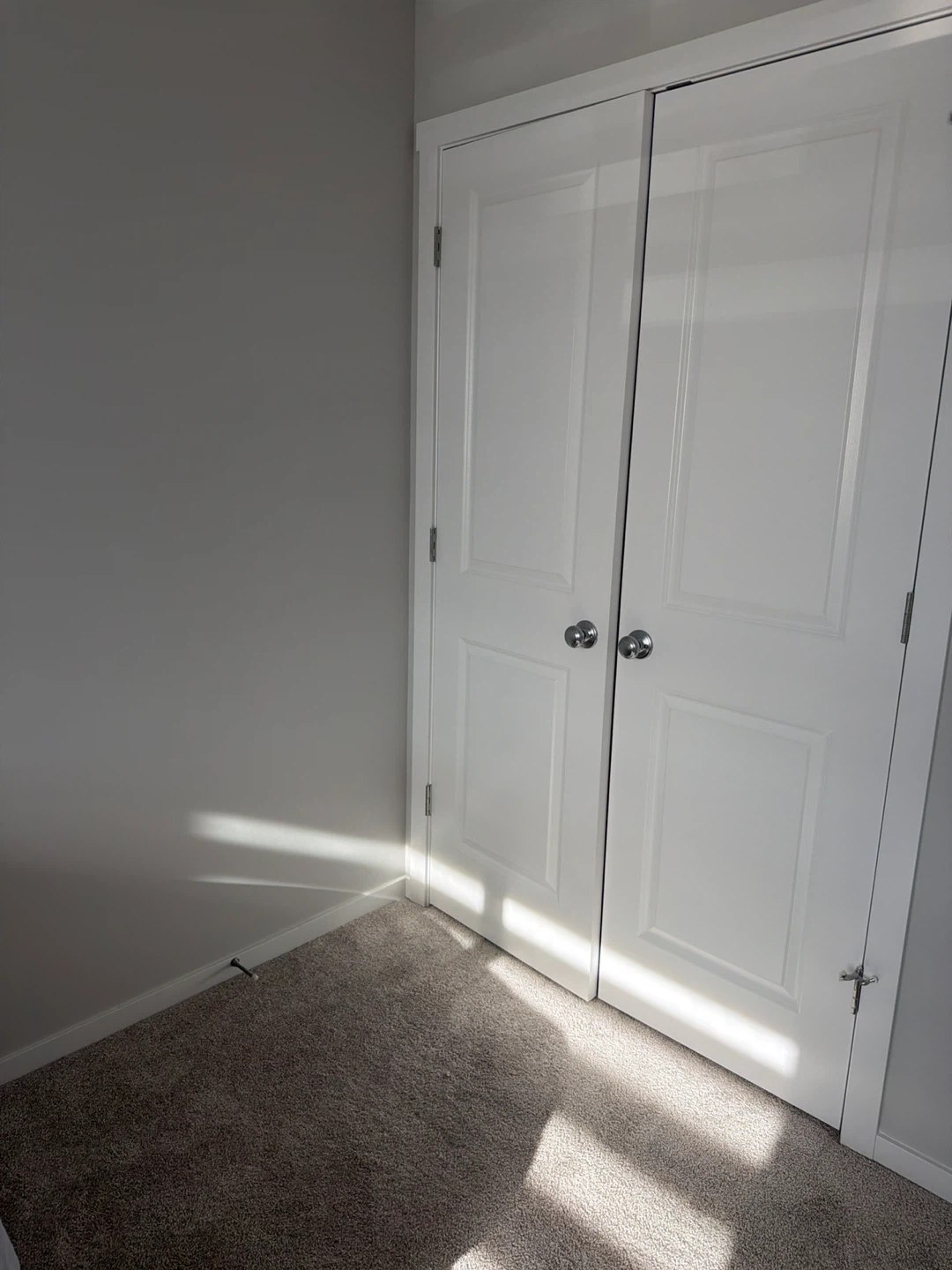 White Double Closet Doors