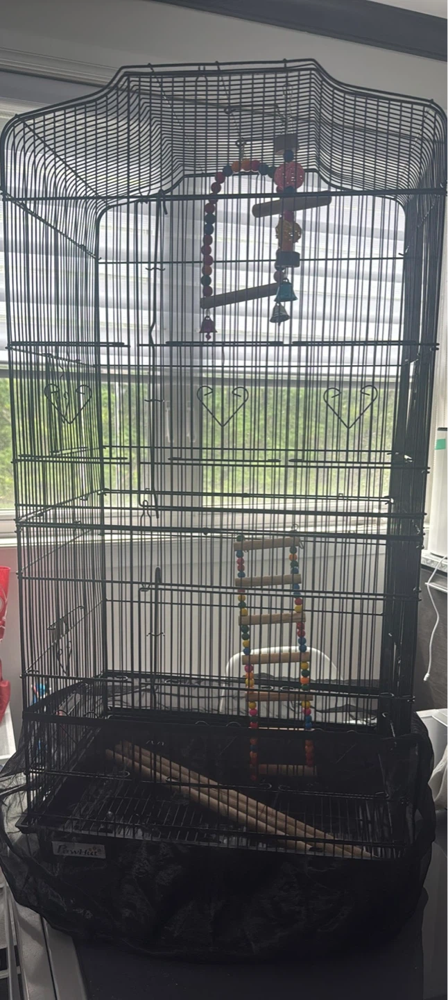Bird Cage