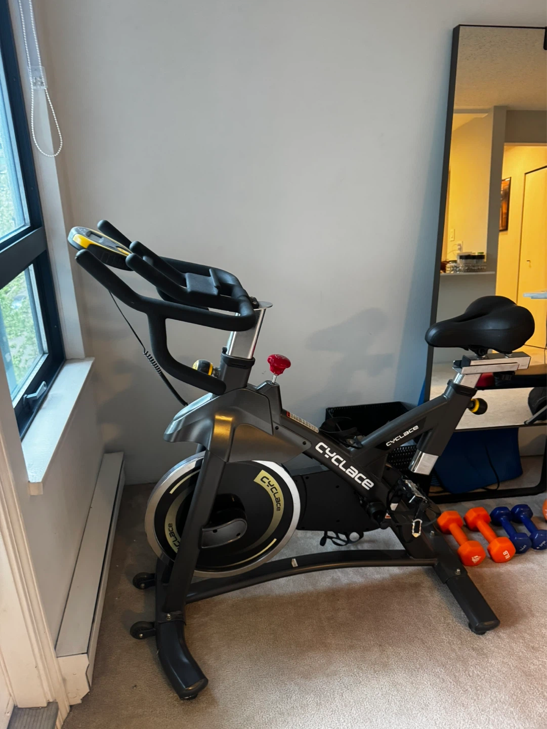 CYCLACE Exercise Bike
