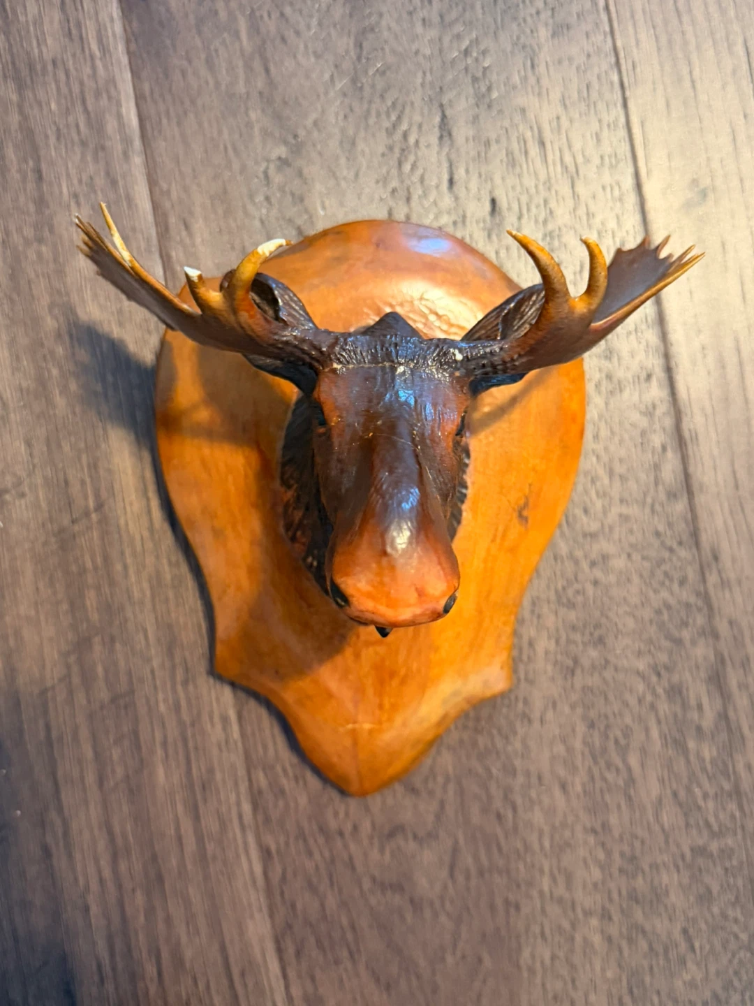 $10 for both!! Large Wooden Clock & Wooden Moose Head Wall Mount - photo 4