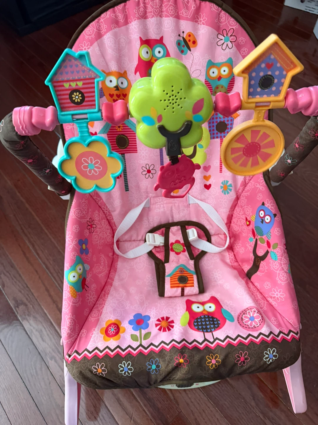Fisher-Price Baby Bouncer Seat - photo 4