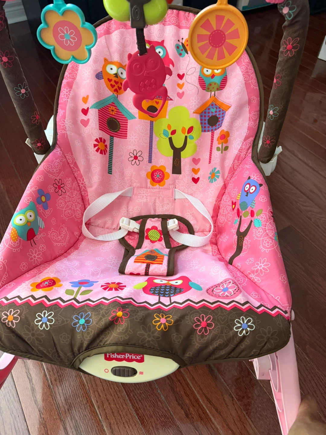 Fisher-Price Baby Bouncer Seat - photo 5