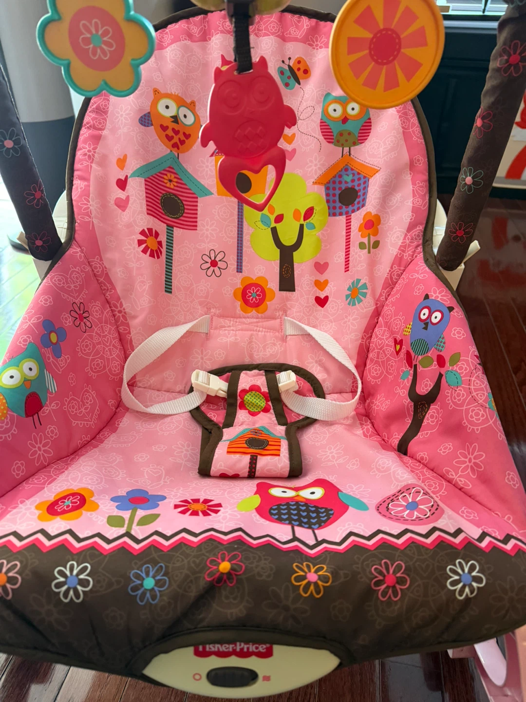 Fisher-Price Baby Bouncer Seat